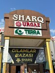 Urgaz Carpet (Tashkent, Almazar District, Gathering of citizens of Hаfiz Kuhakiy Mahallah), tienda de alfombras