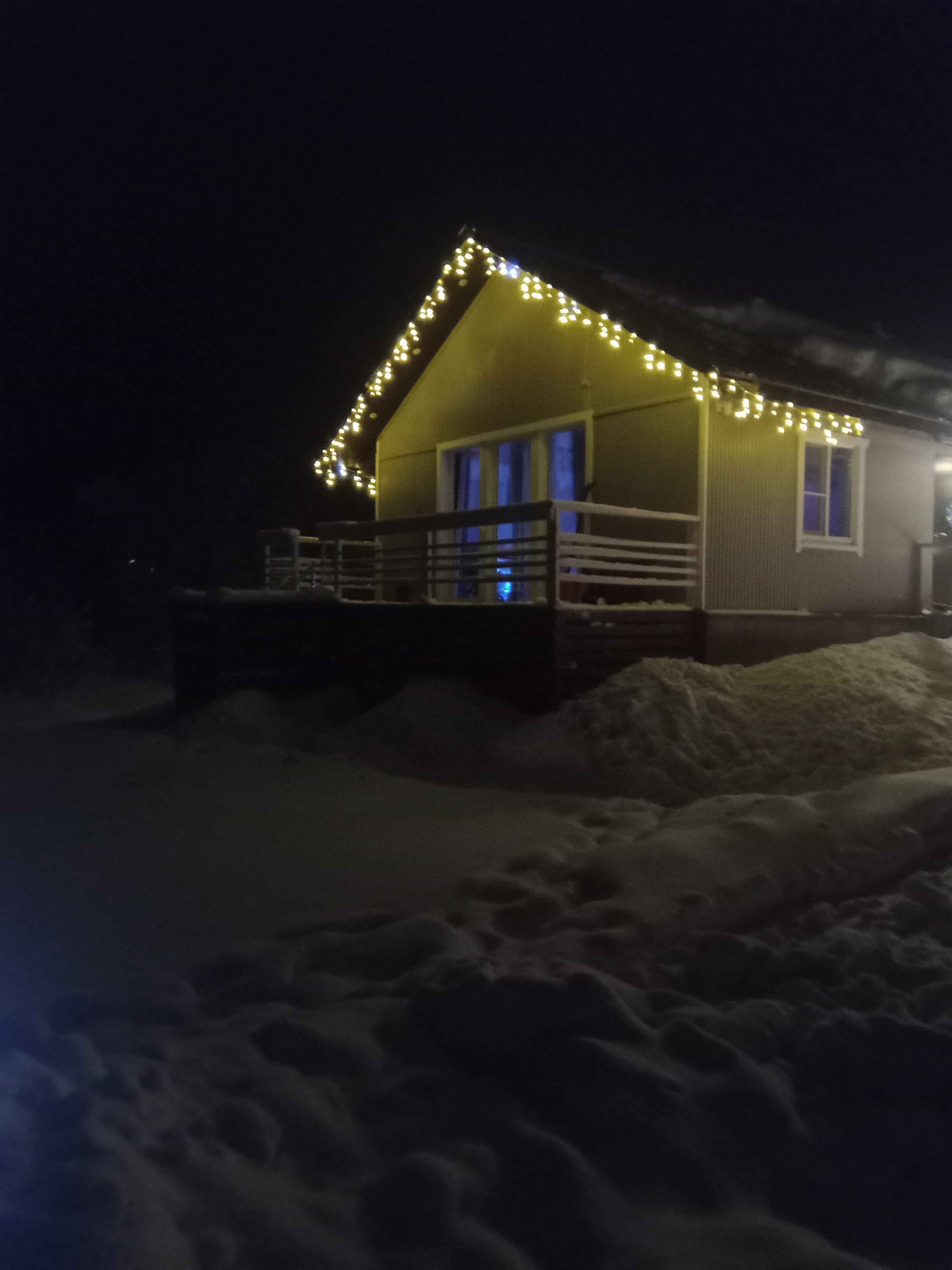 Фото Домик у ёлки