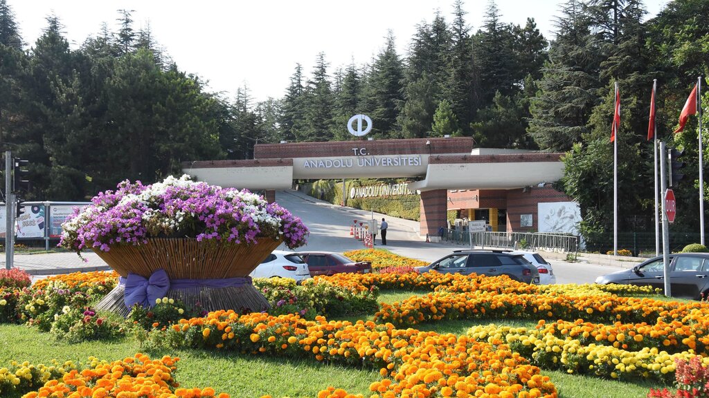 كلية، جامعة Anadolu University ، إسكي شهر، صورة