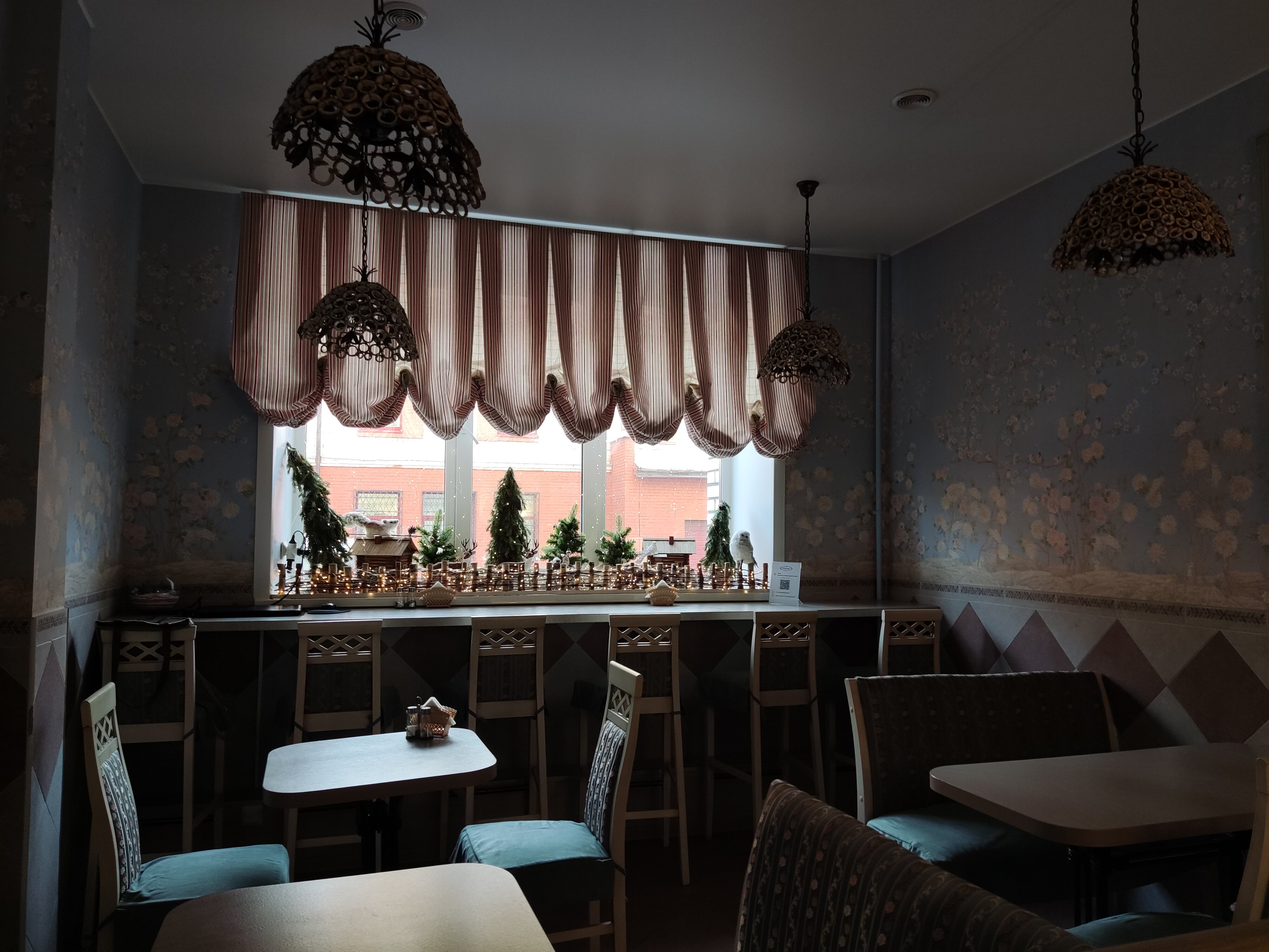 Фото Северница