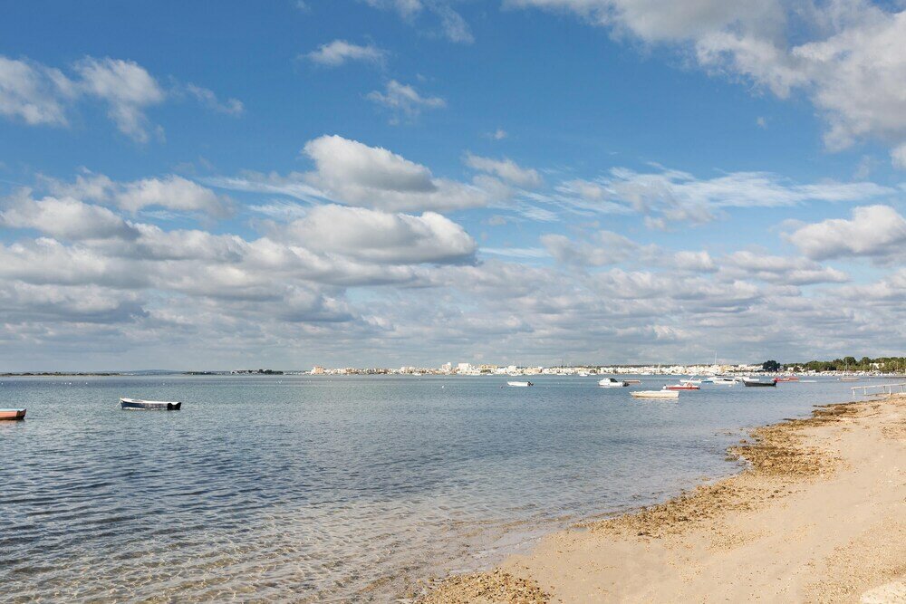 Фото 1890 Bilo Conchiglia Blu