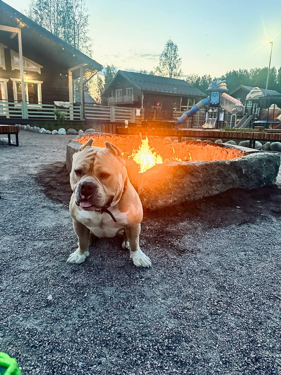 Фото Курорт Илмола