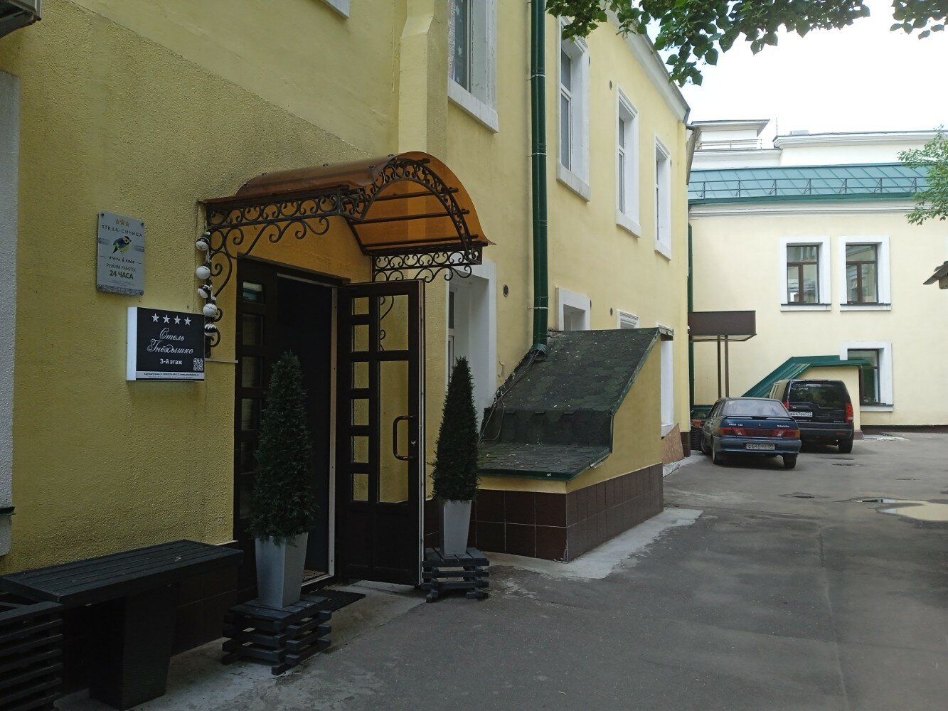 Фото Птица-Синица