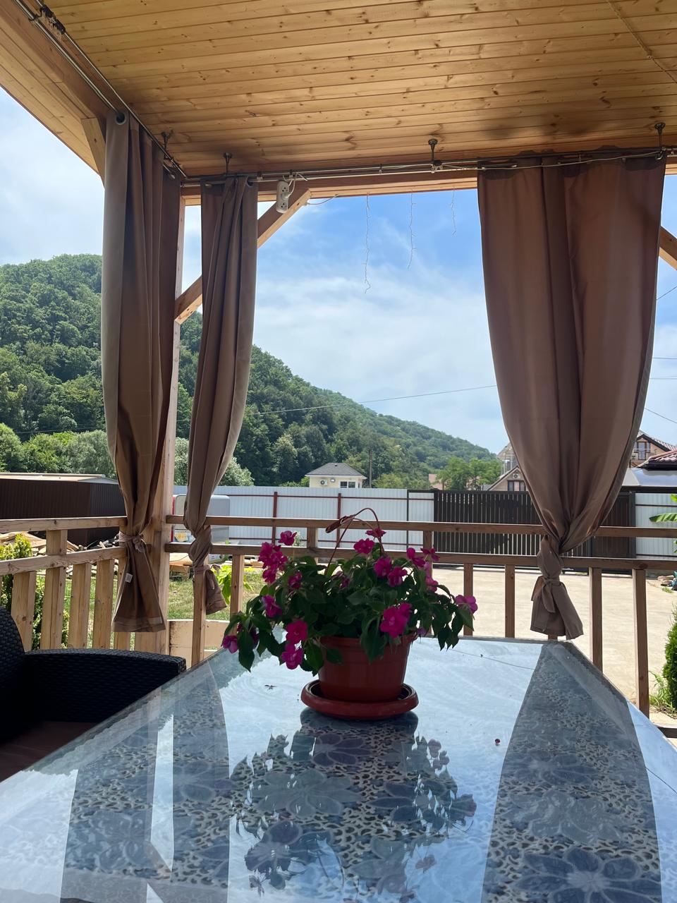 Фото Ежевика