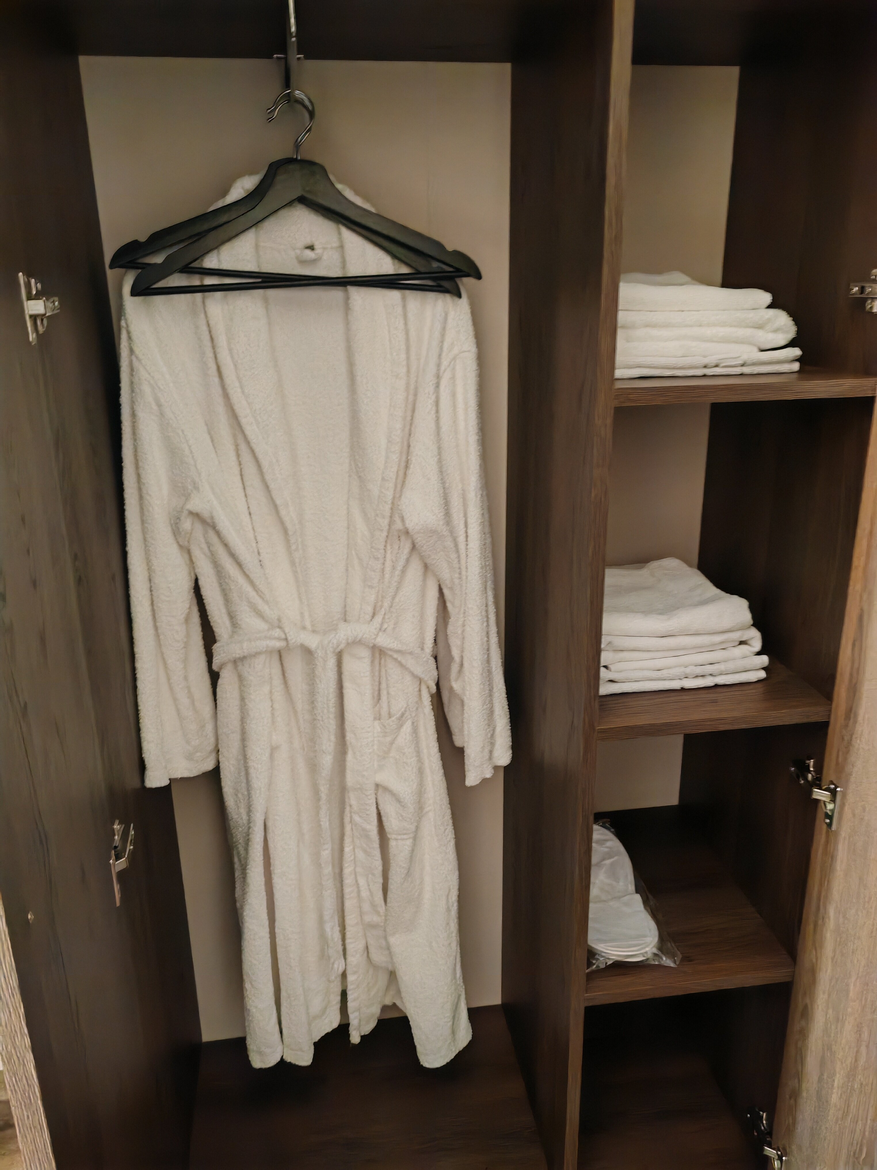 Фото Астери