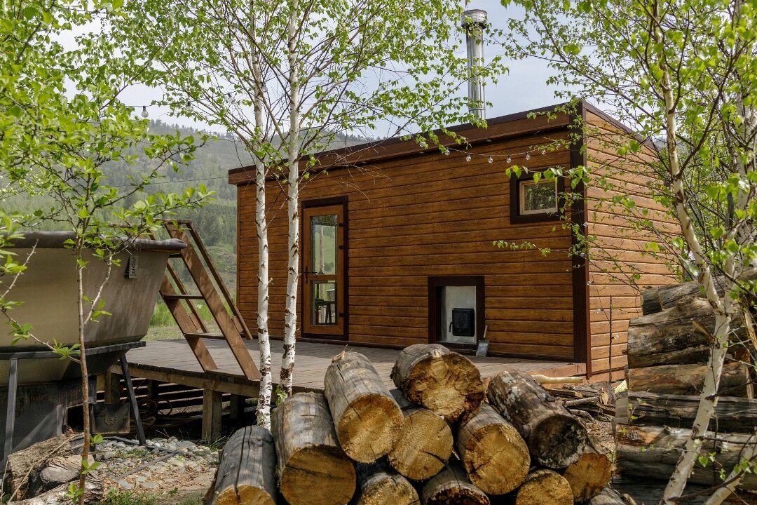 Фото Чайное гнёздышко