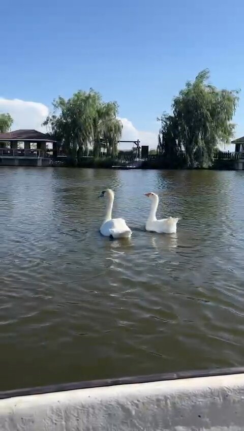 Фото Калон-Брион