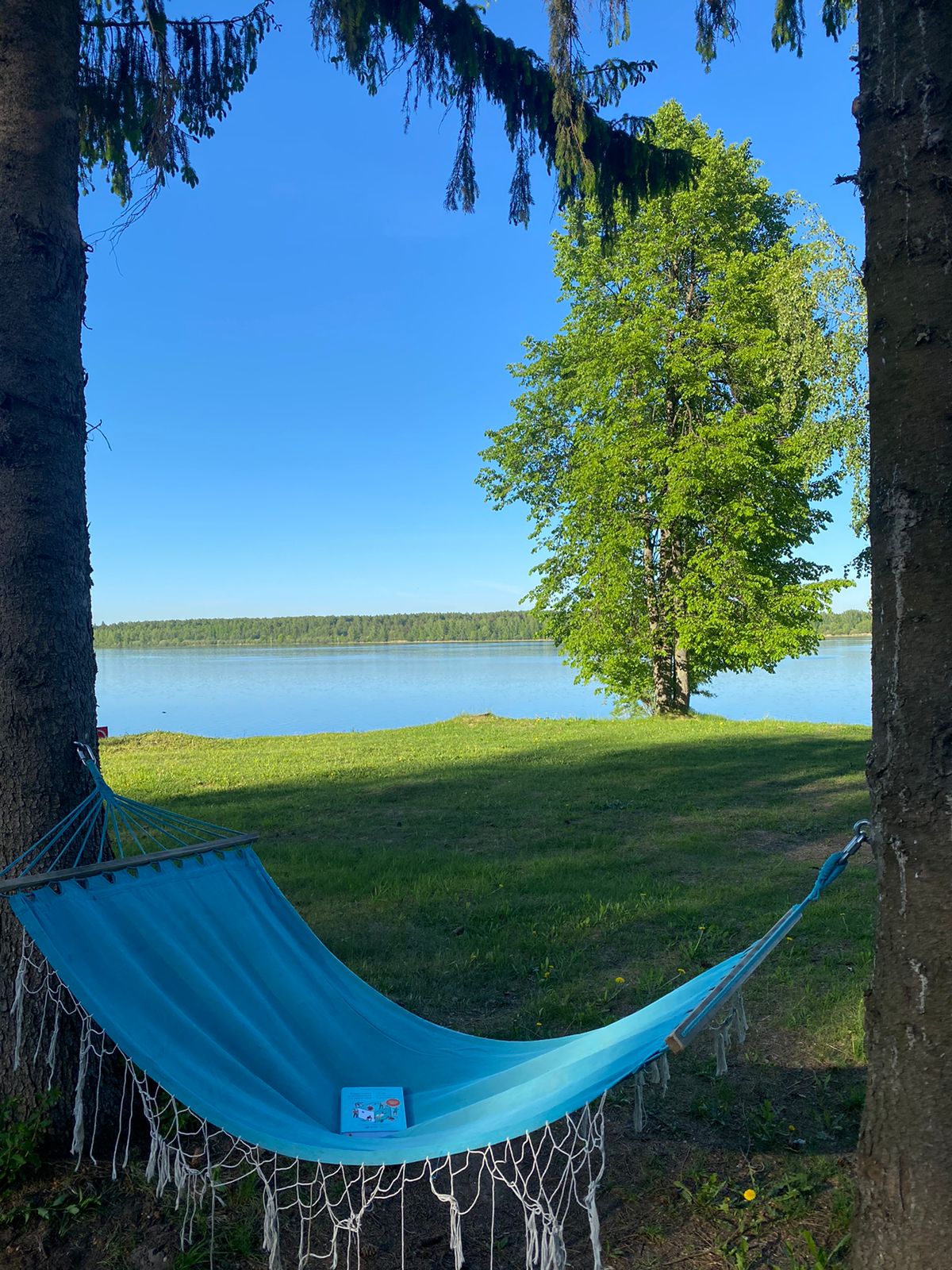 Фото Лунево на Волге