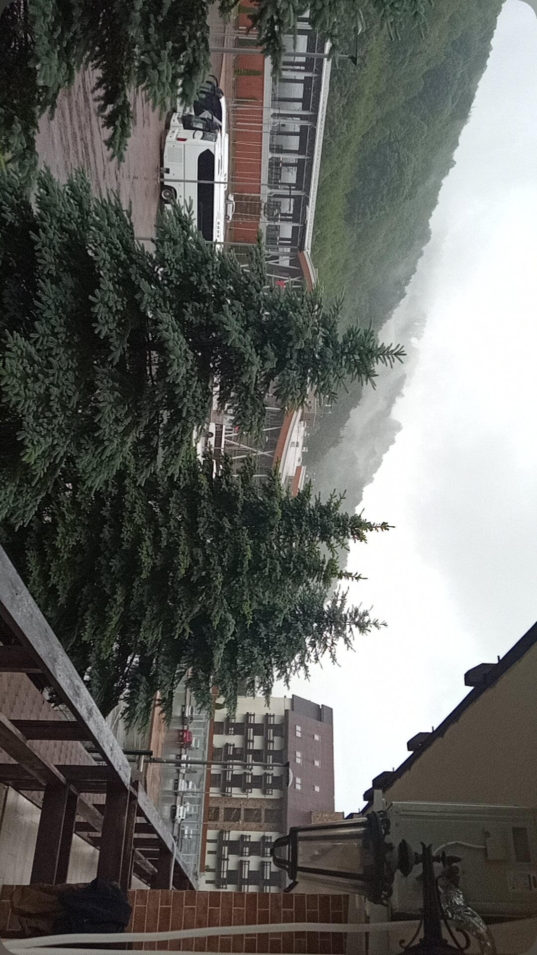 Фото Гала Плаза