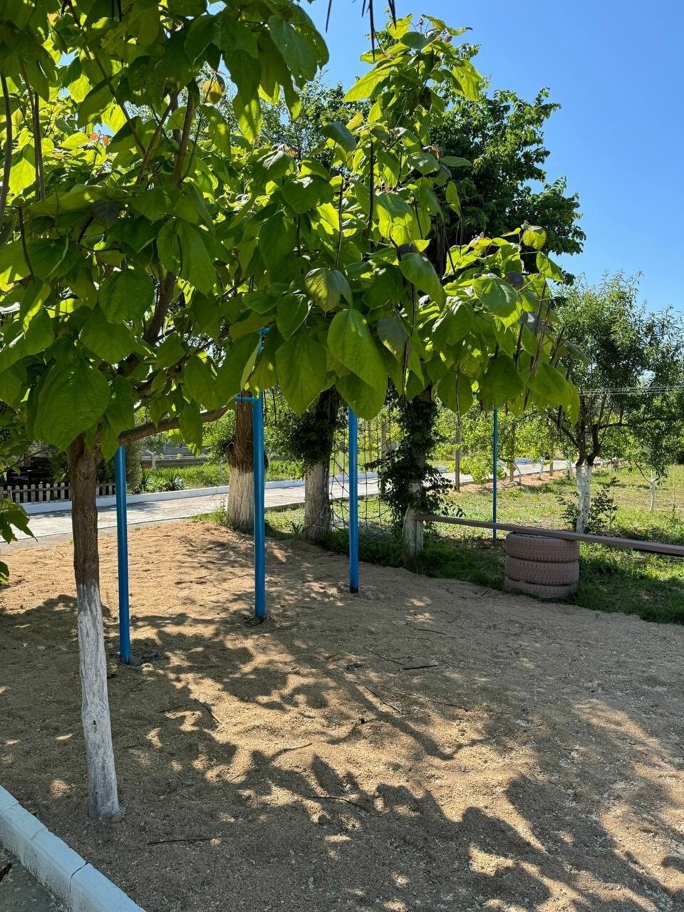 Фото Family House Midas