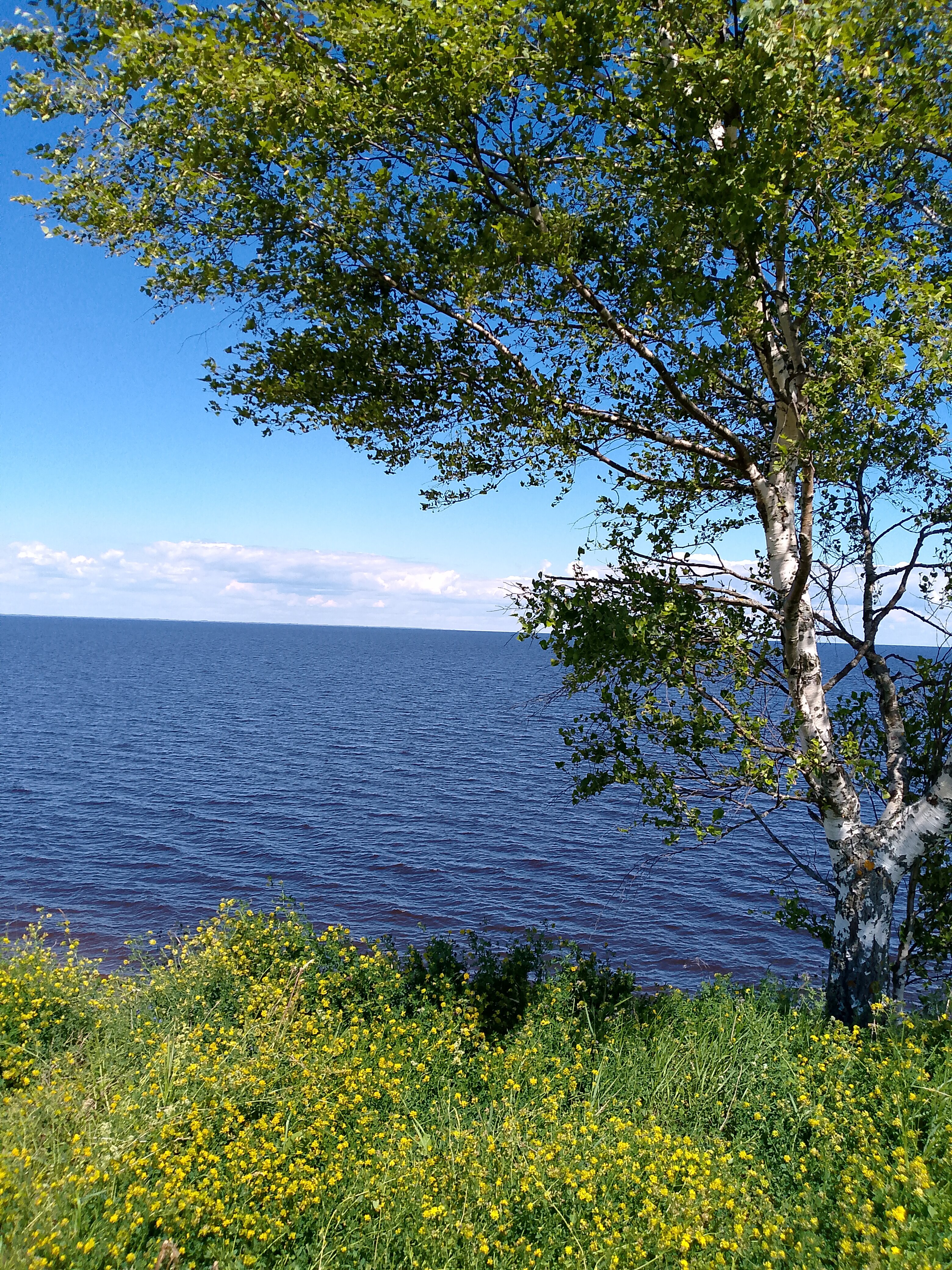 Фото Ильмера