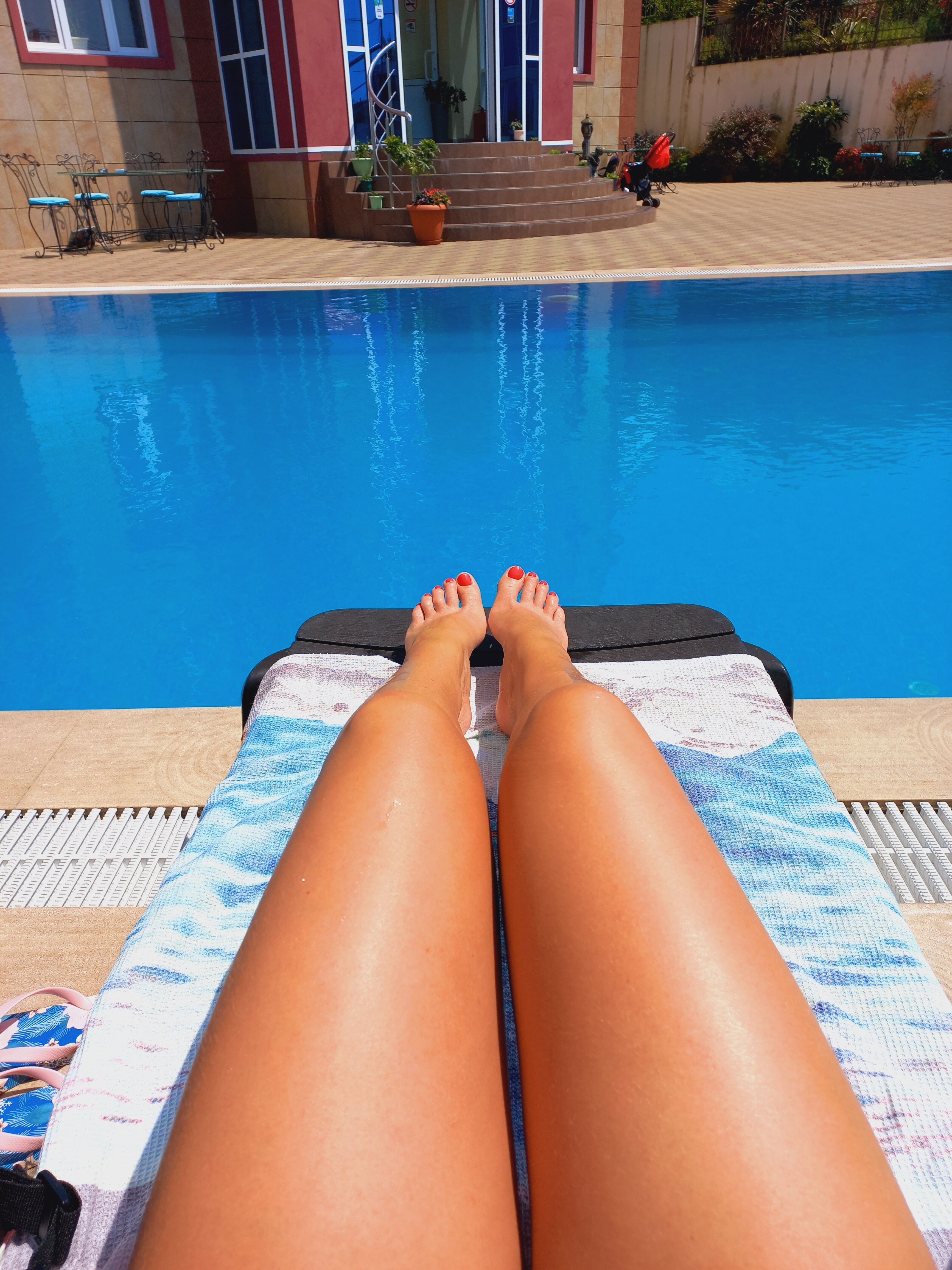 Фото Эдельвейс