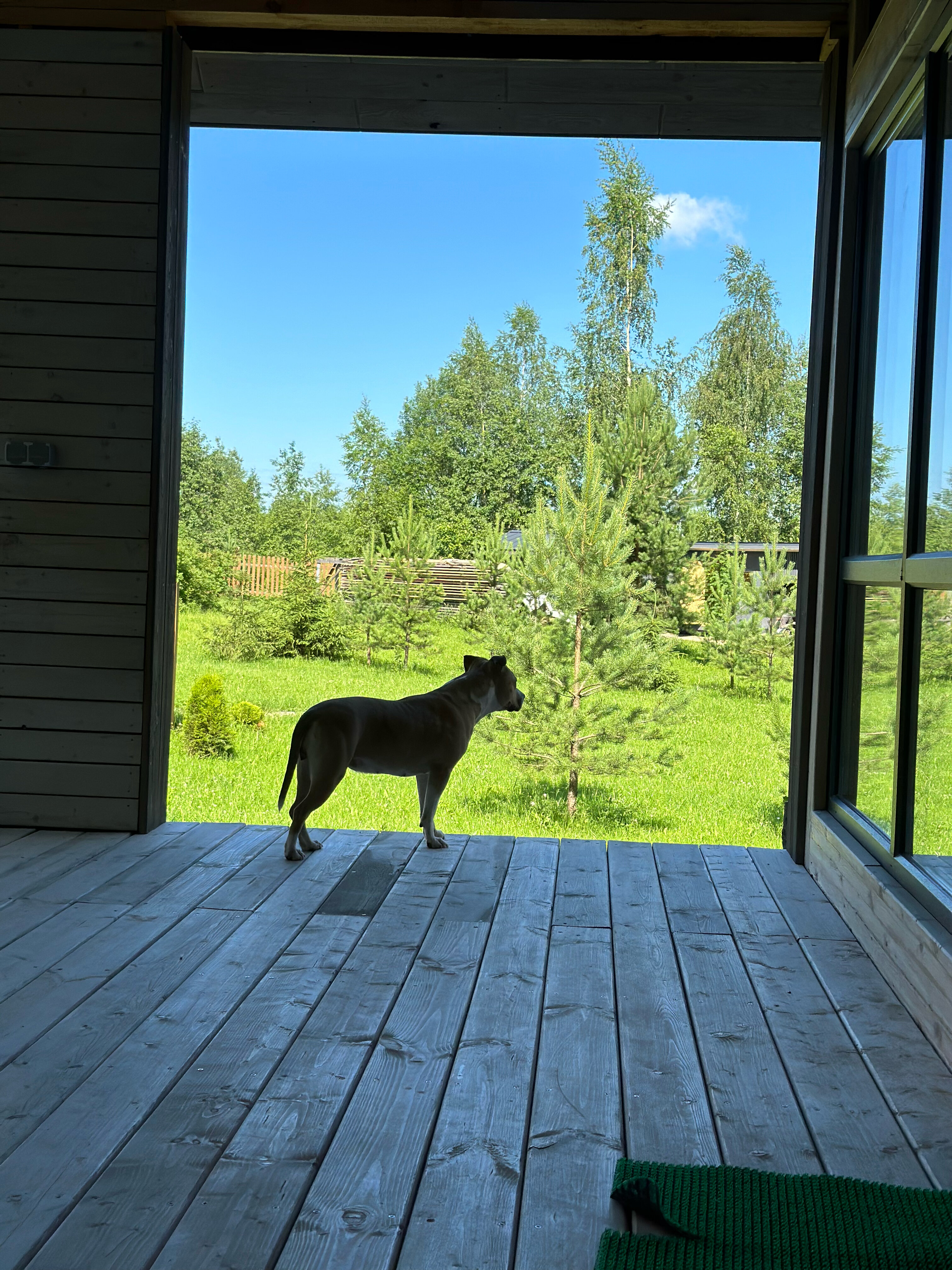 Фото Эко дача Берёза