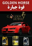 Golden Horse Petroleum (SIT Tower, Dubai Silicon Oasis, Mushraif, Dubai), oil and gas company