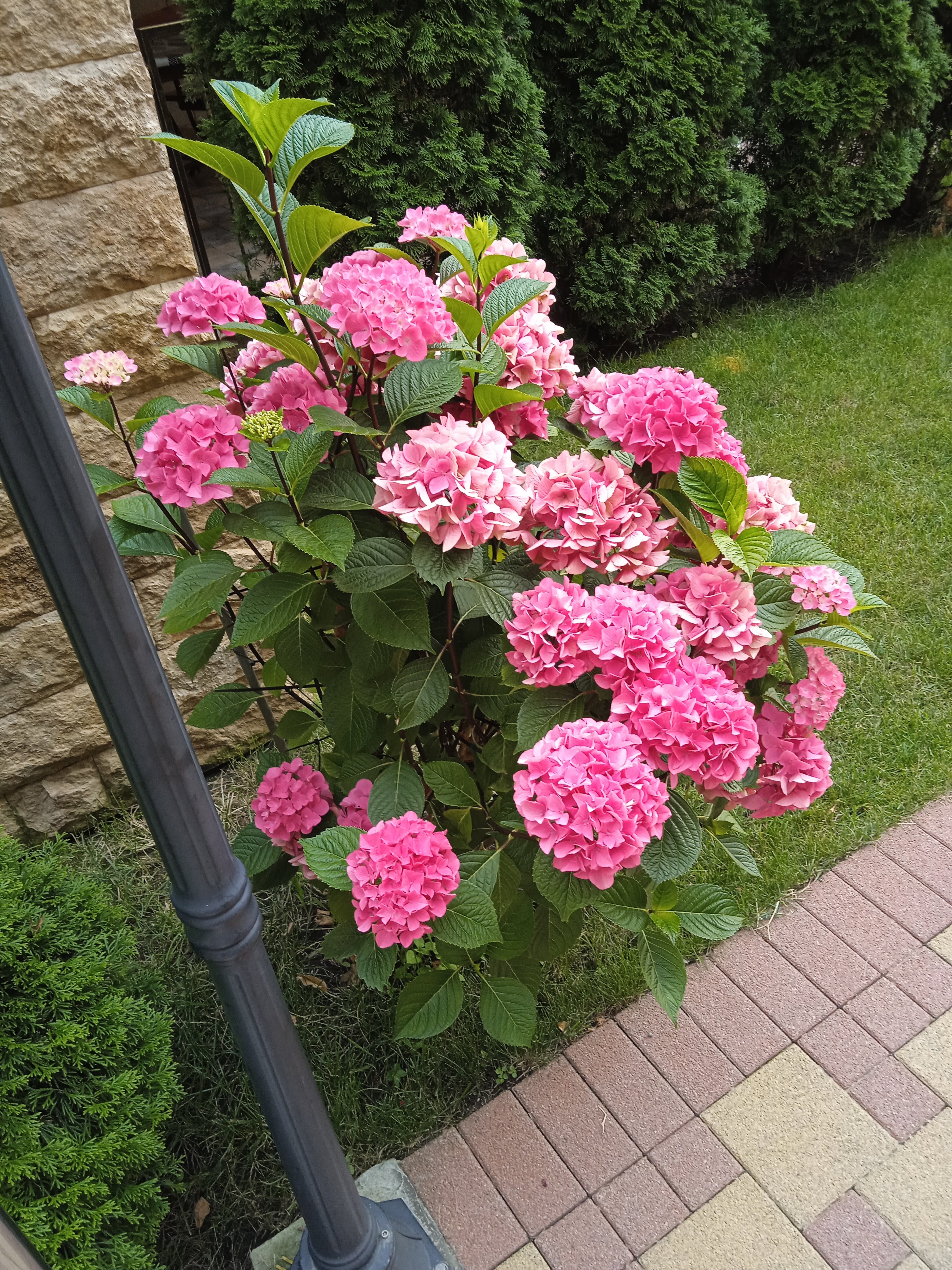 Фото Оксана