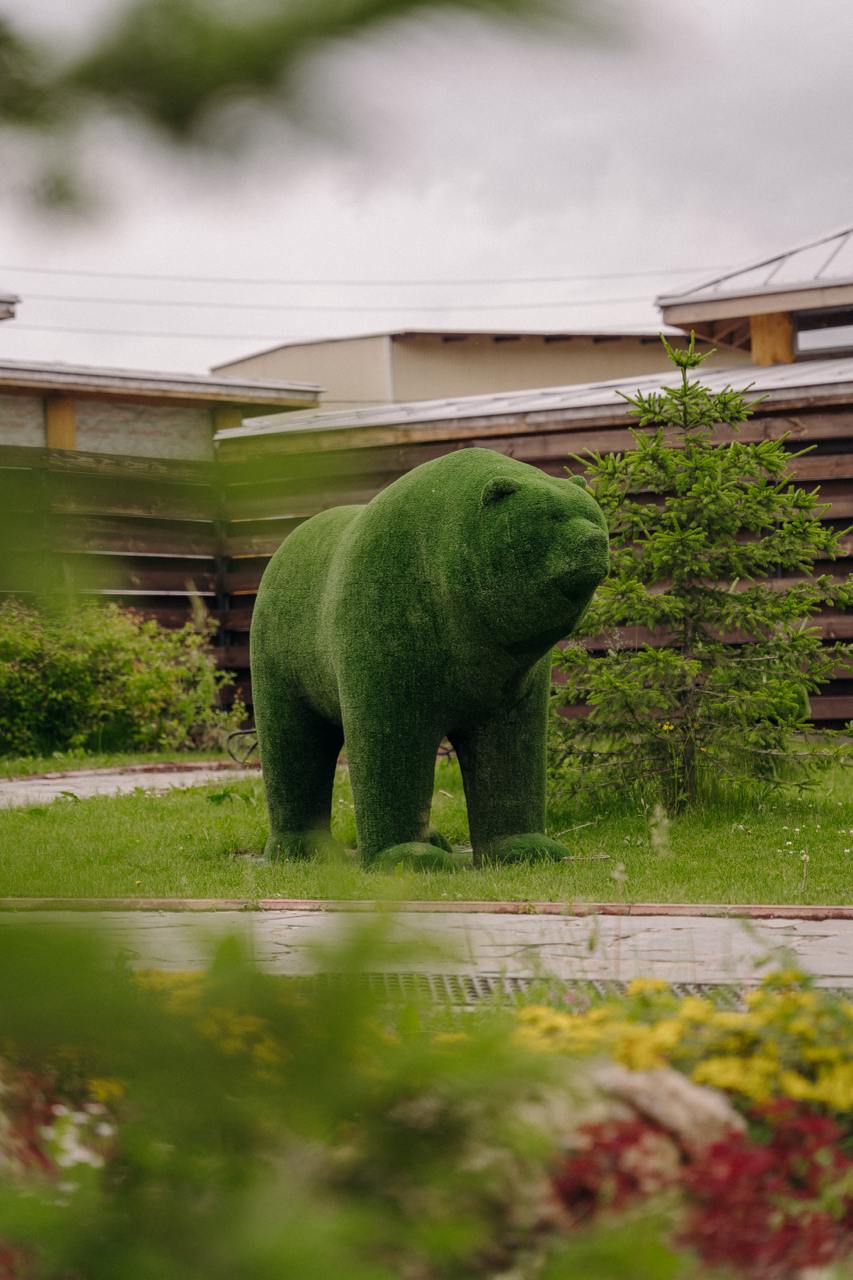 Фото Светлый