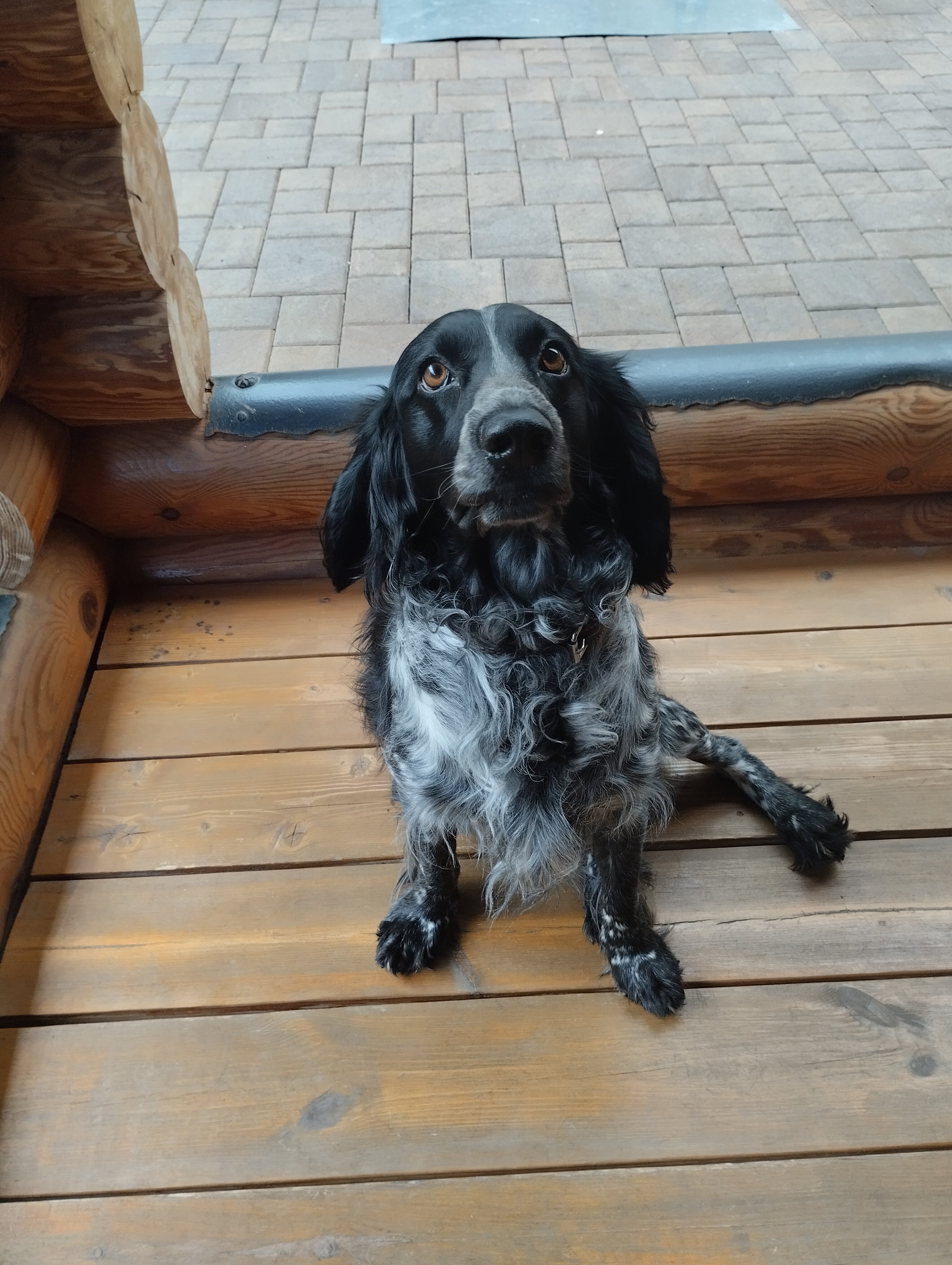 Фото Теремъ