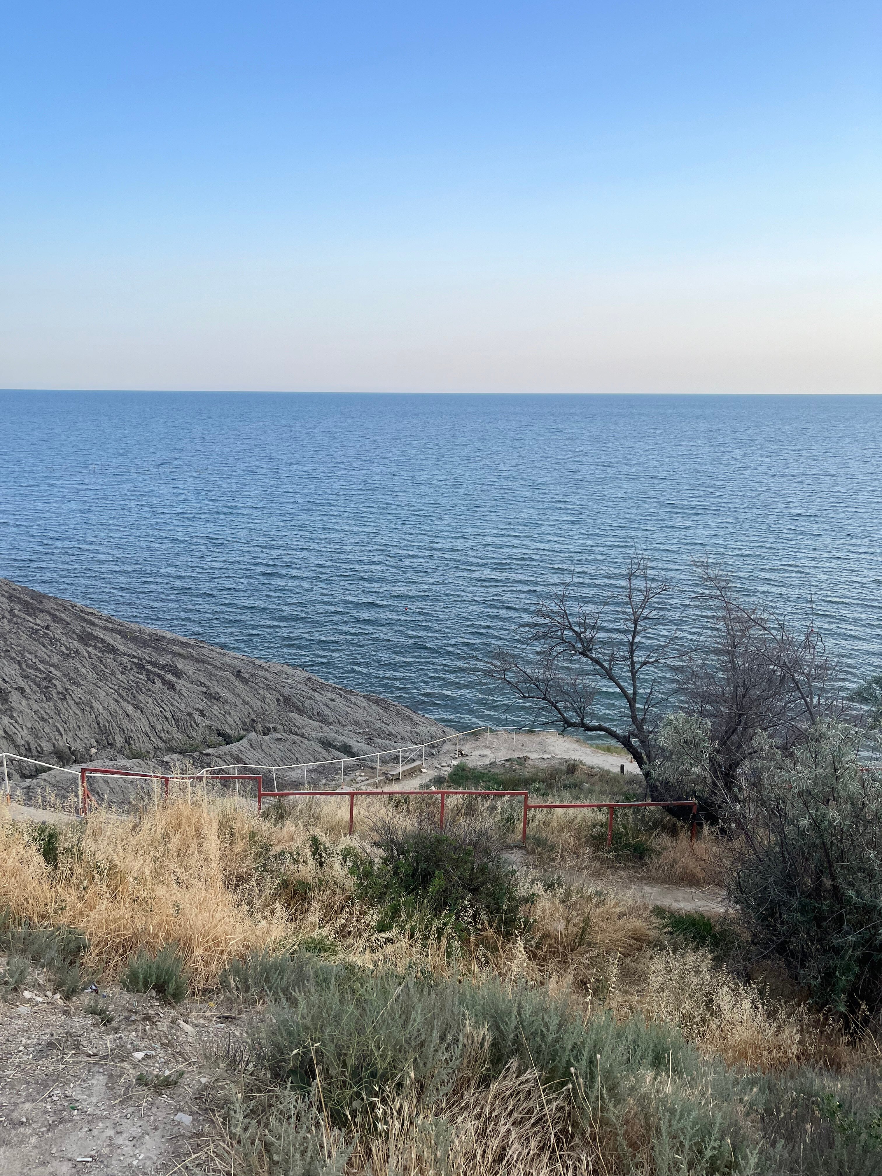 Фото Эллинг у Зои