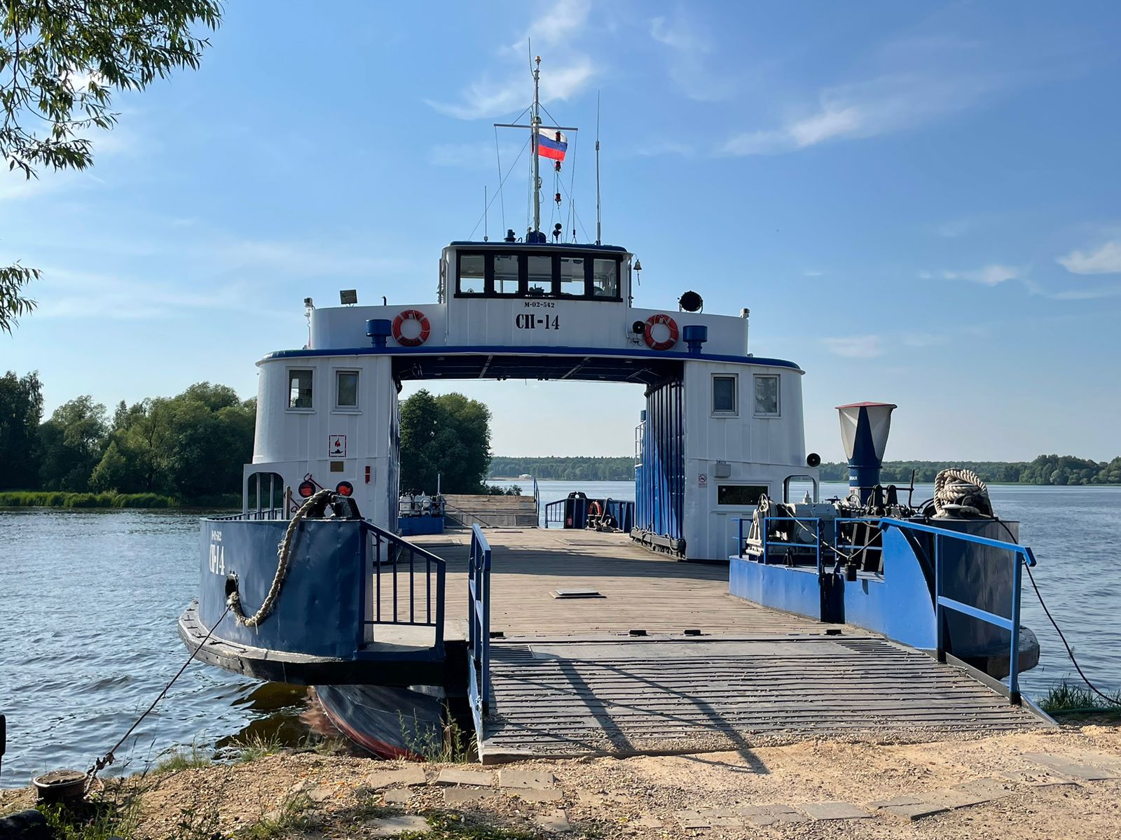 Фото Green forest