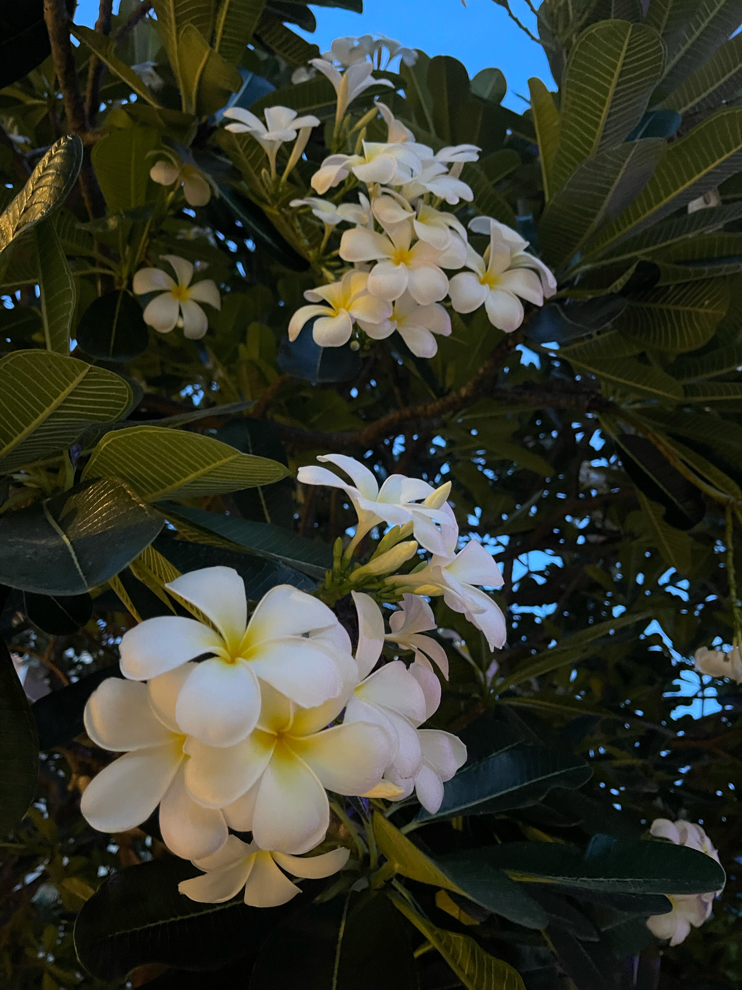 Фото Fifth Pattaya Jomtien