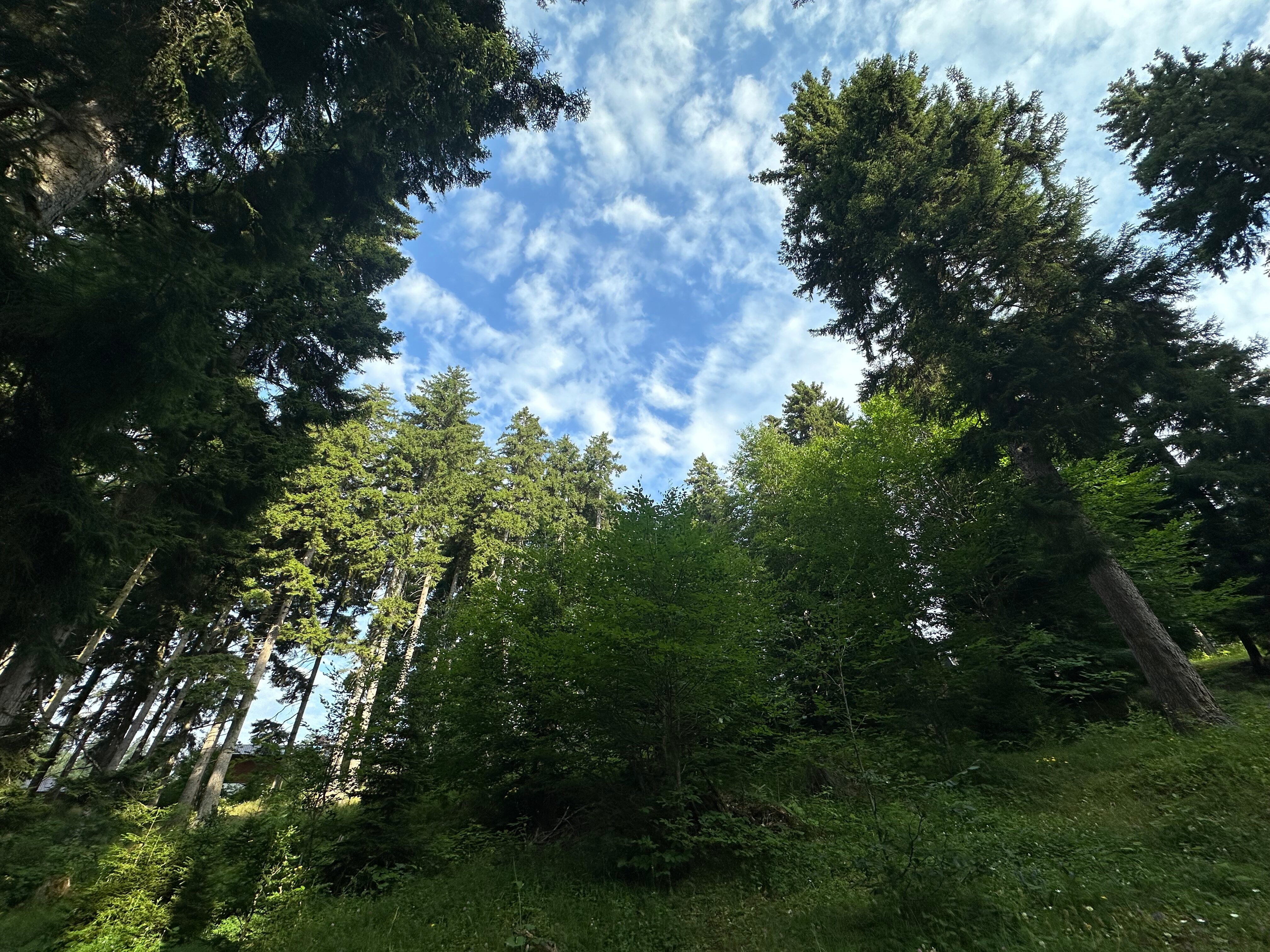 Фото Rooms Hotels Kokhta