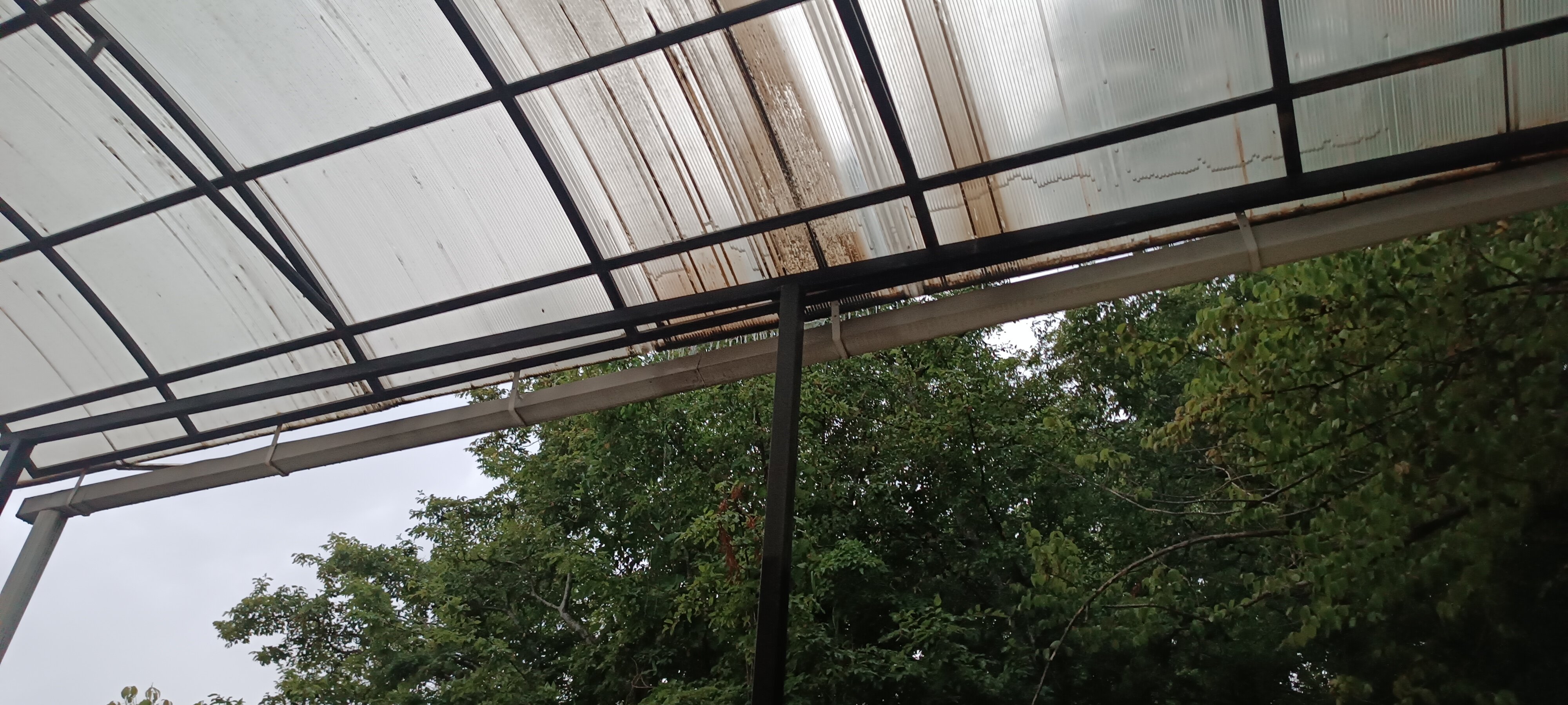 Фото Вилла парк Виктория