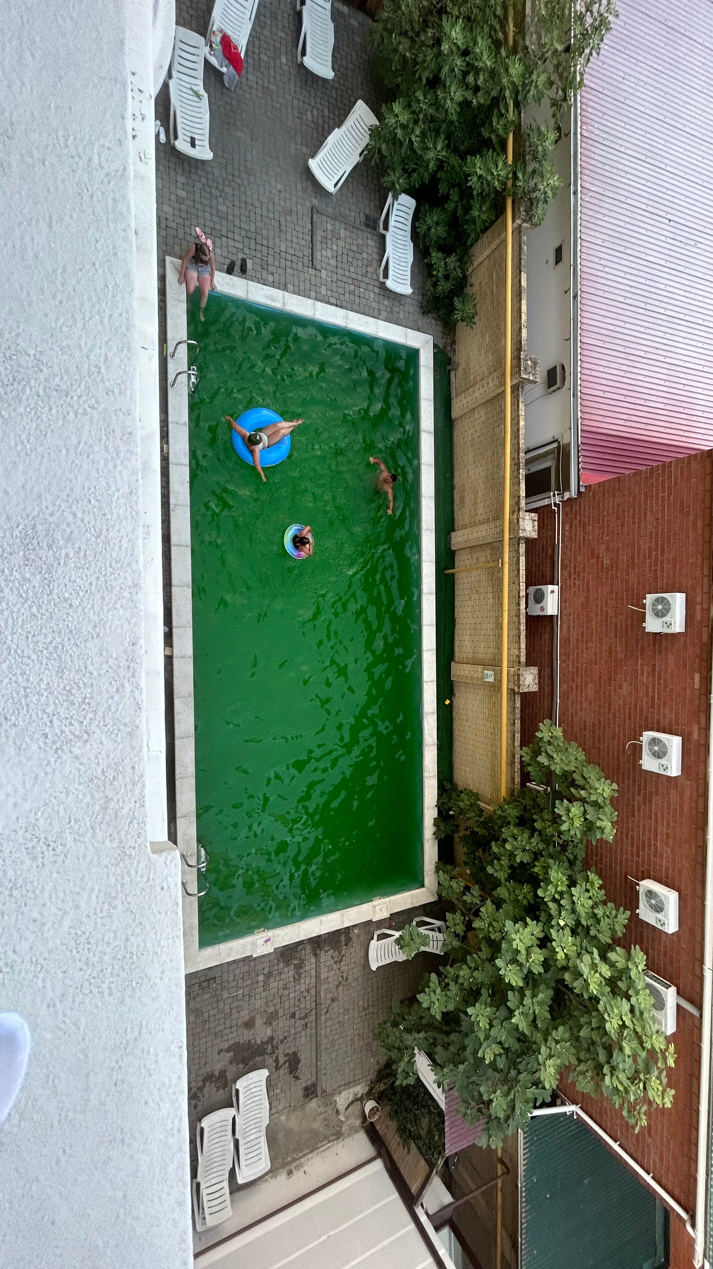 Фото Виктория