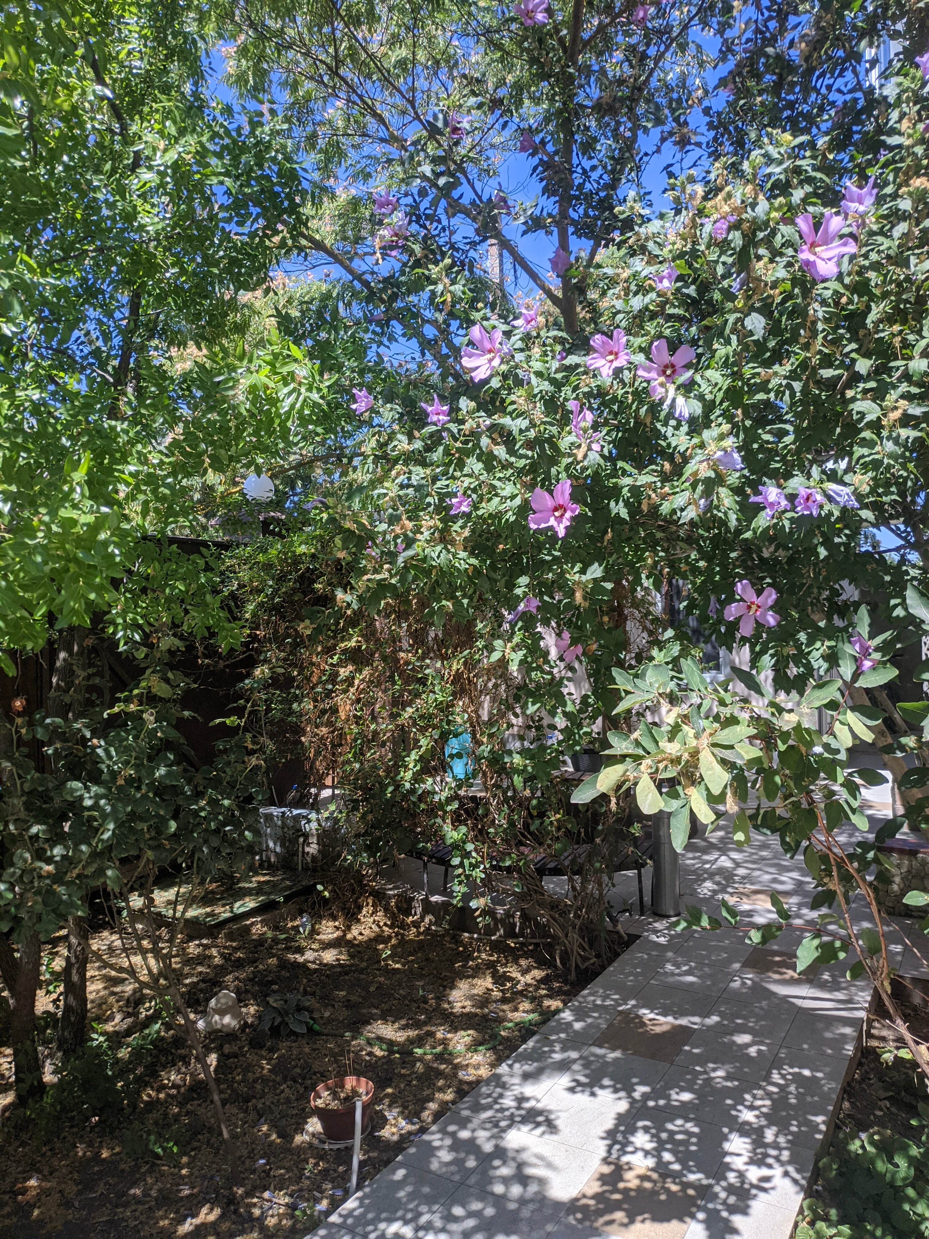 Фото Берег Крыма