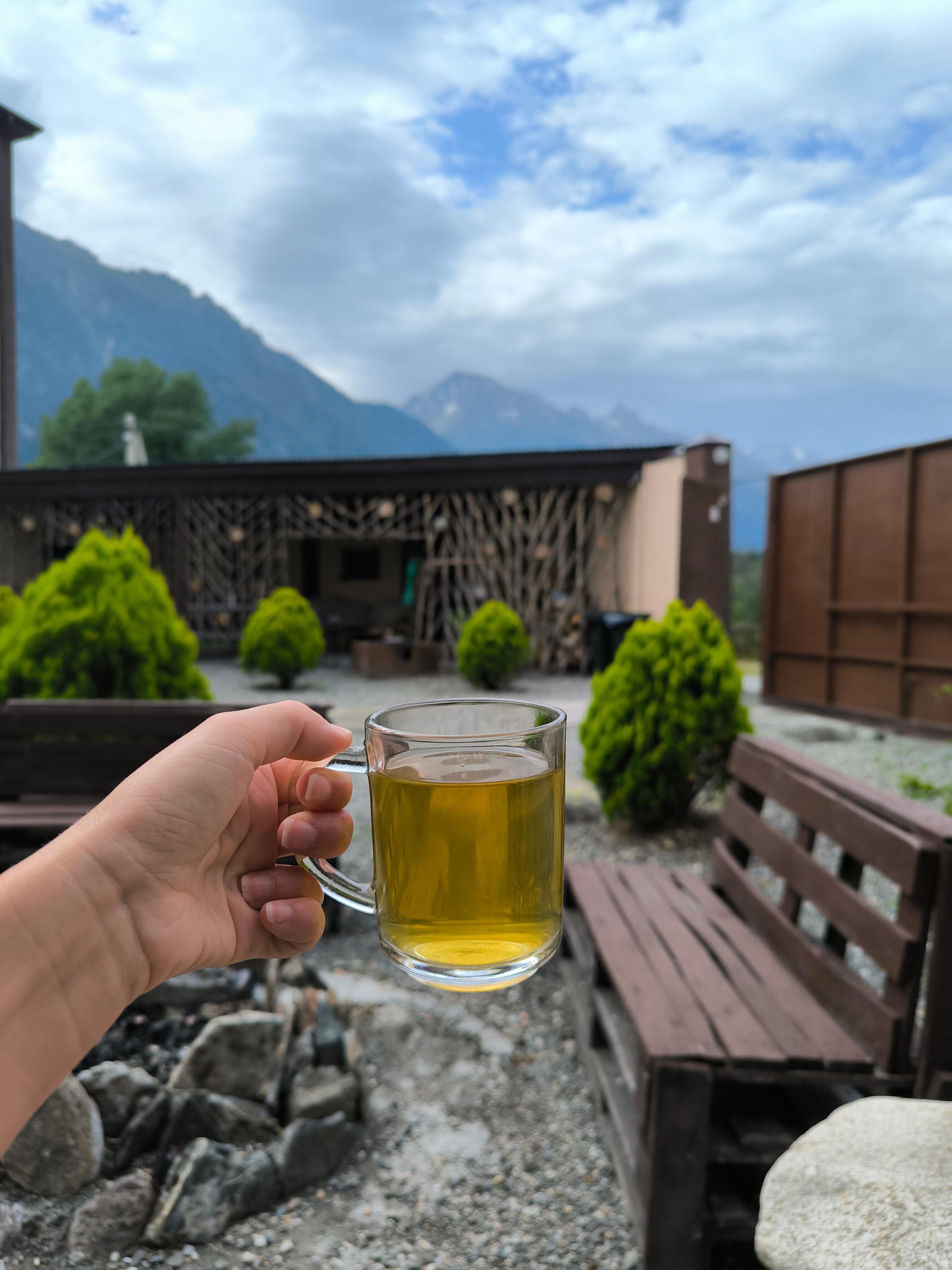 Фото Золотое Руно