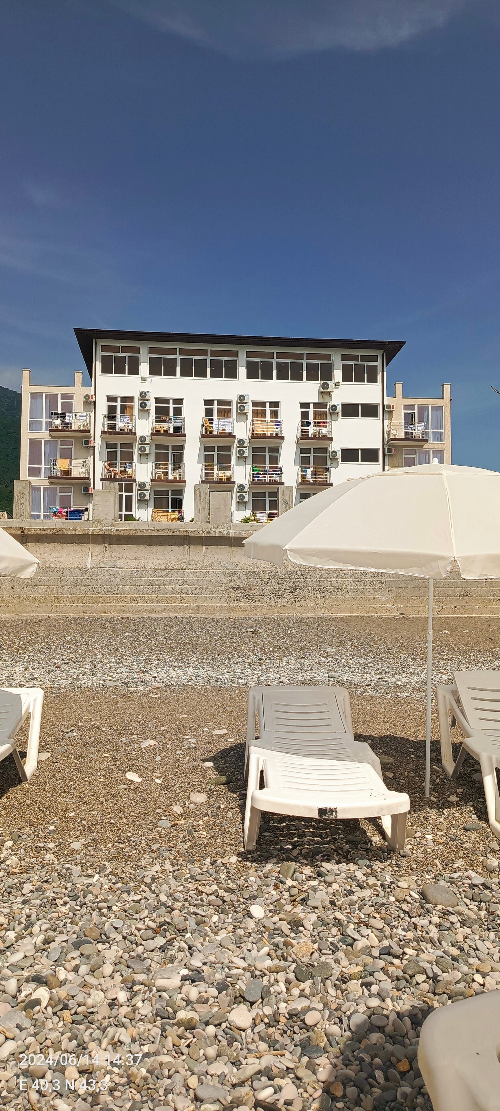 Фото Орхидея