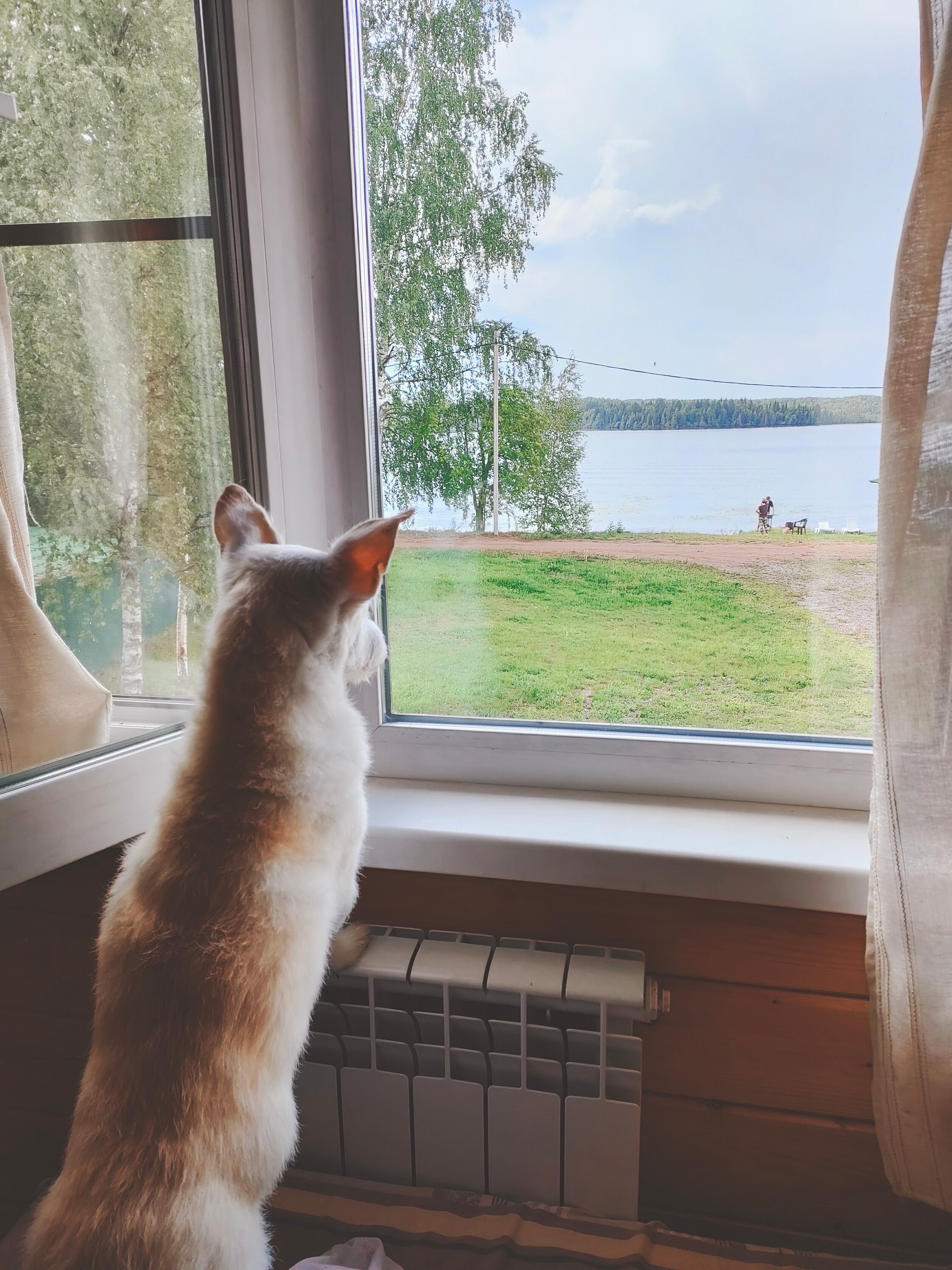 Фото Уютный причал