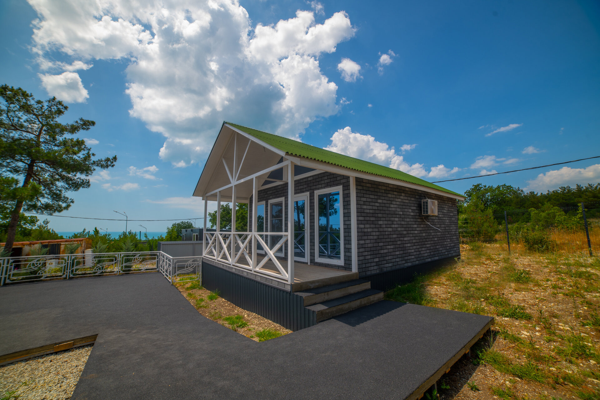 Фото Елки и Иголки