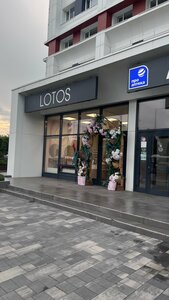 Lotos (Murom, Moskovskaya Street, 87), beauty salon