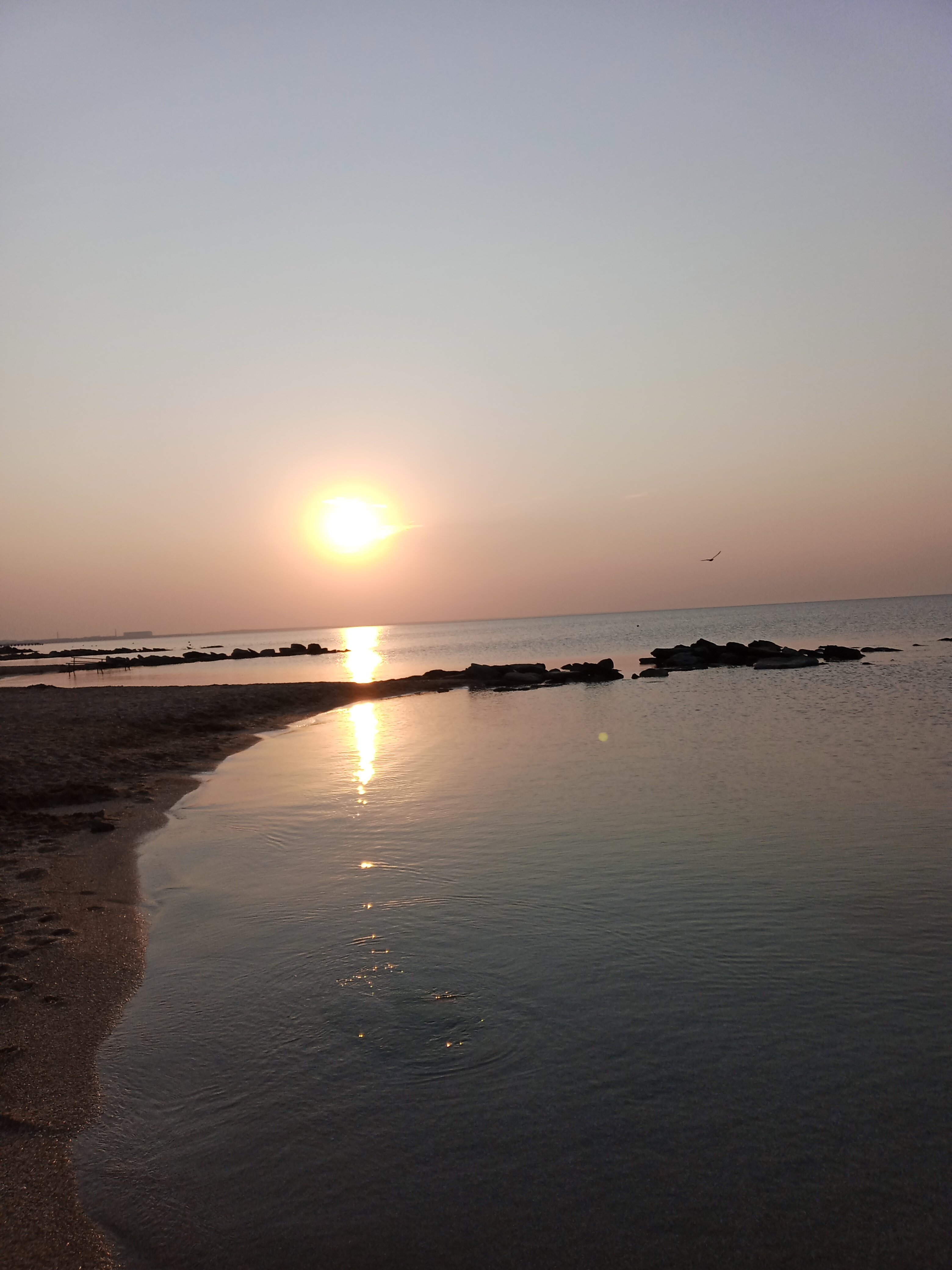 Фото Пансионат Феодосия