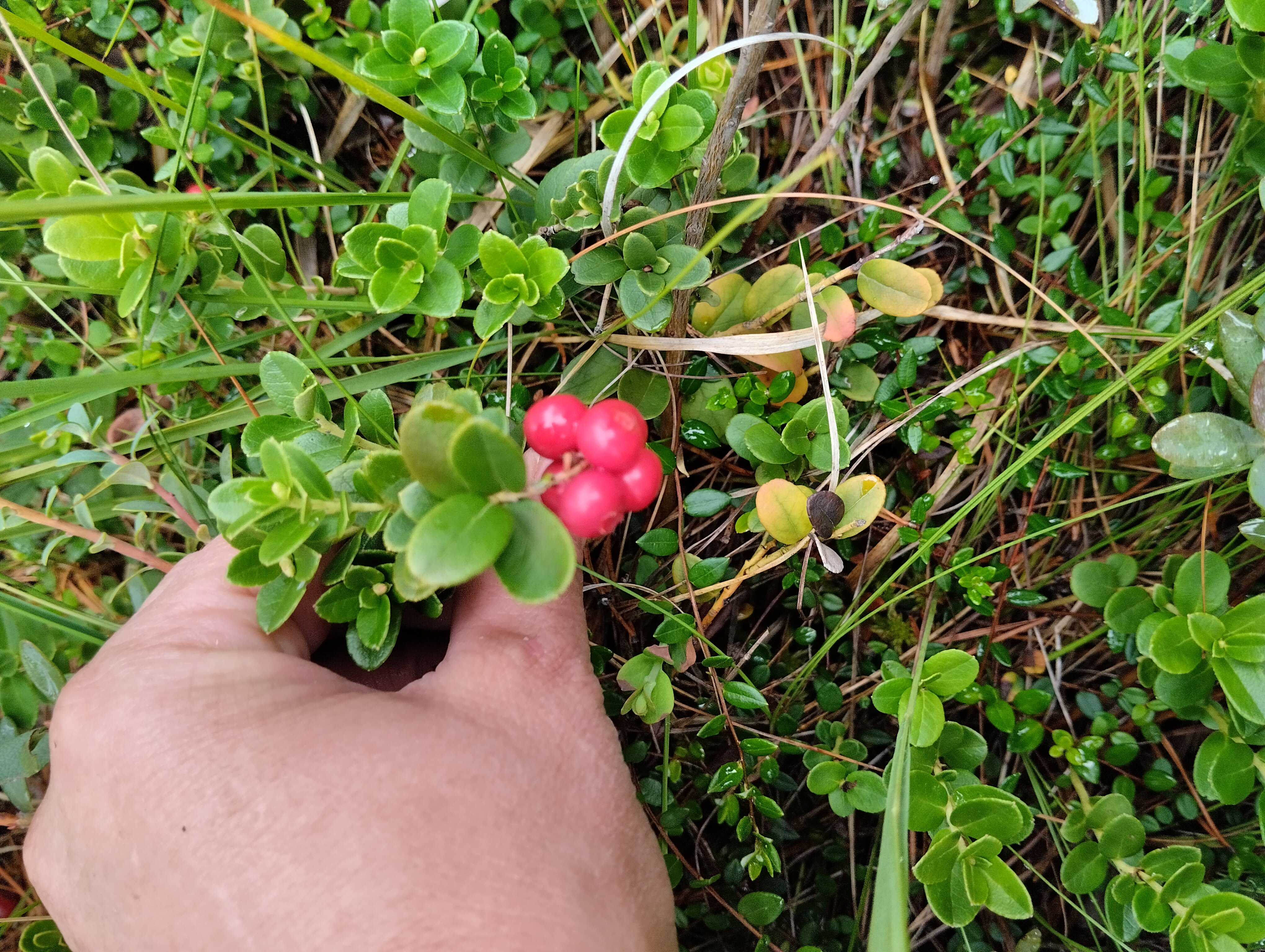Фото Заповедник впечатлений
