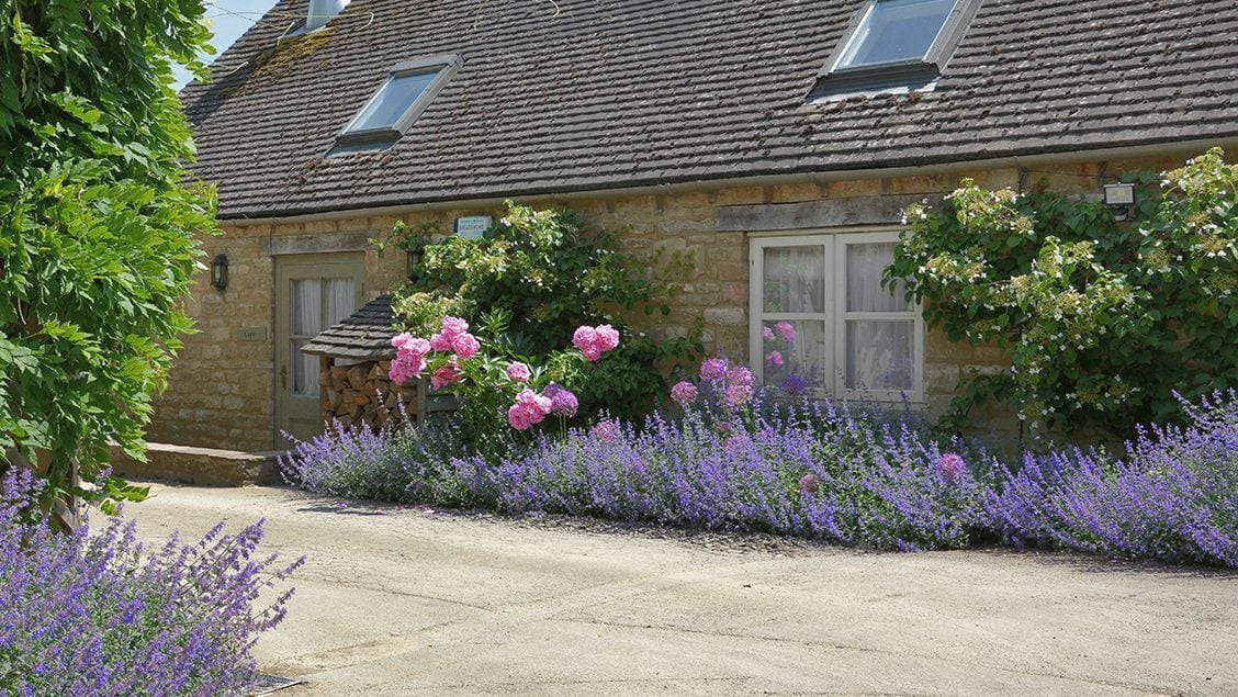 Фото Saratoga Cottage