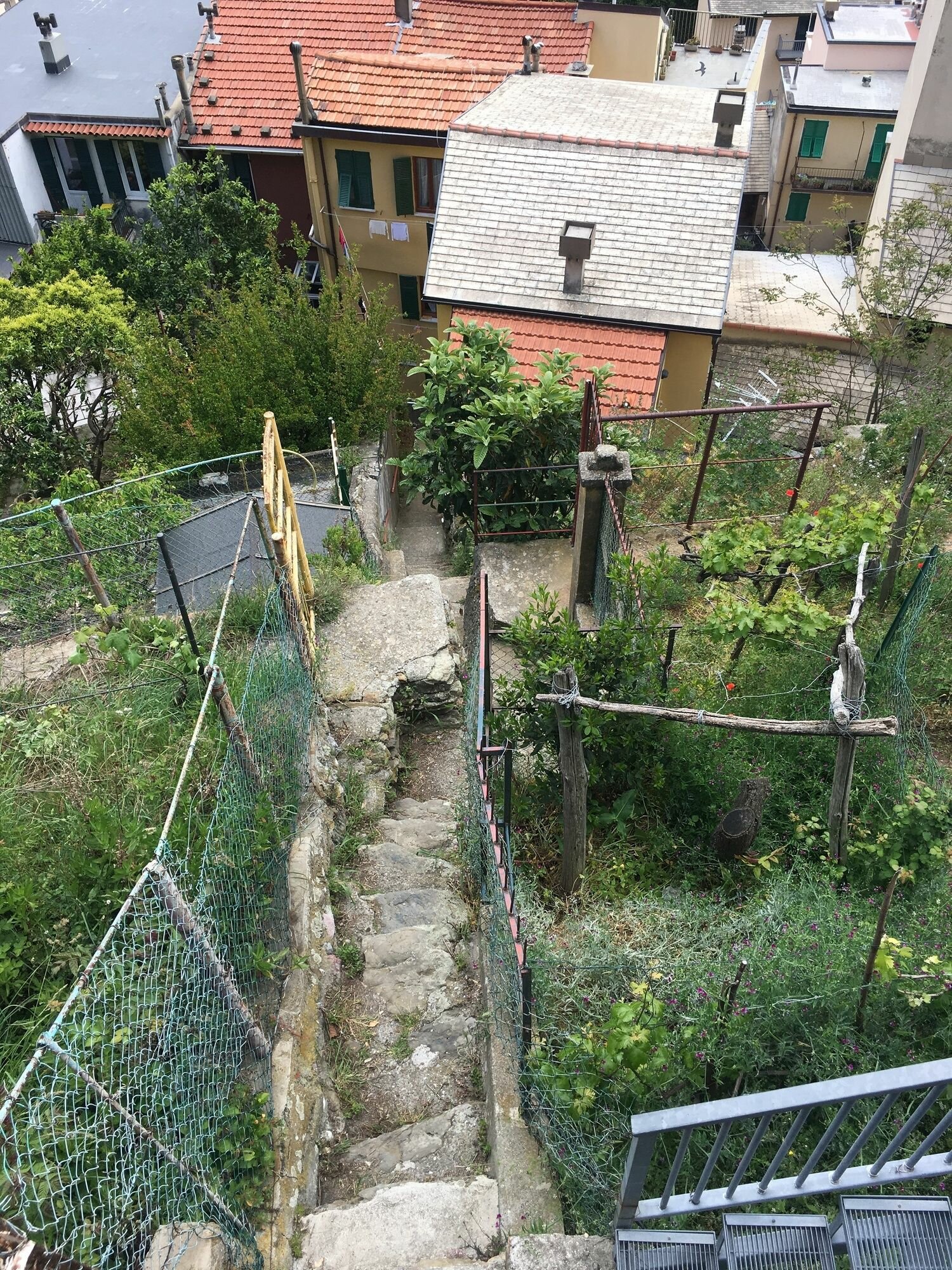 Фото Donadelmar 2