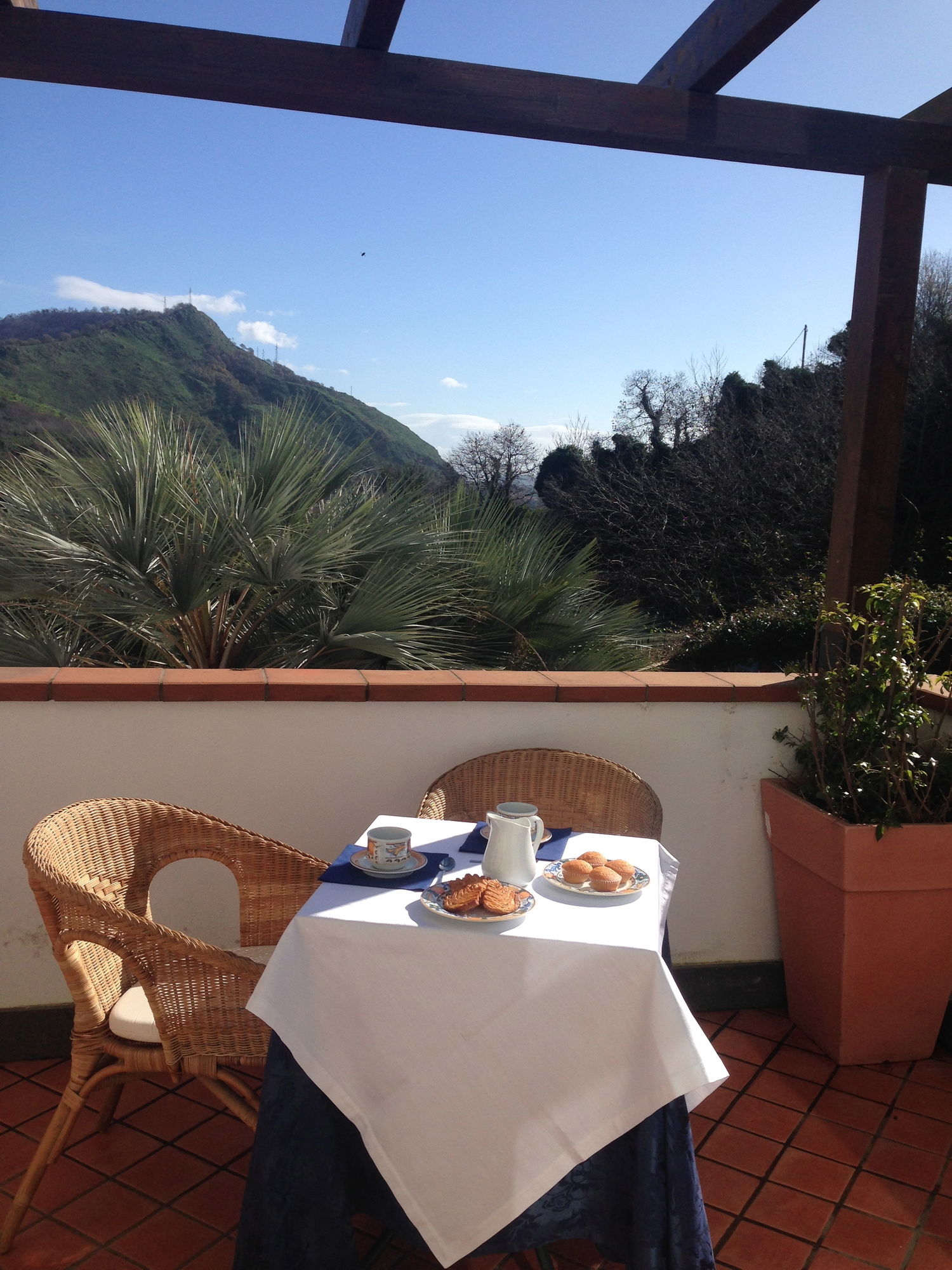 Фото Agave Hotel