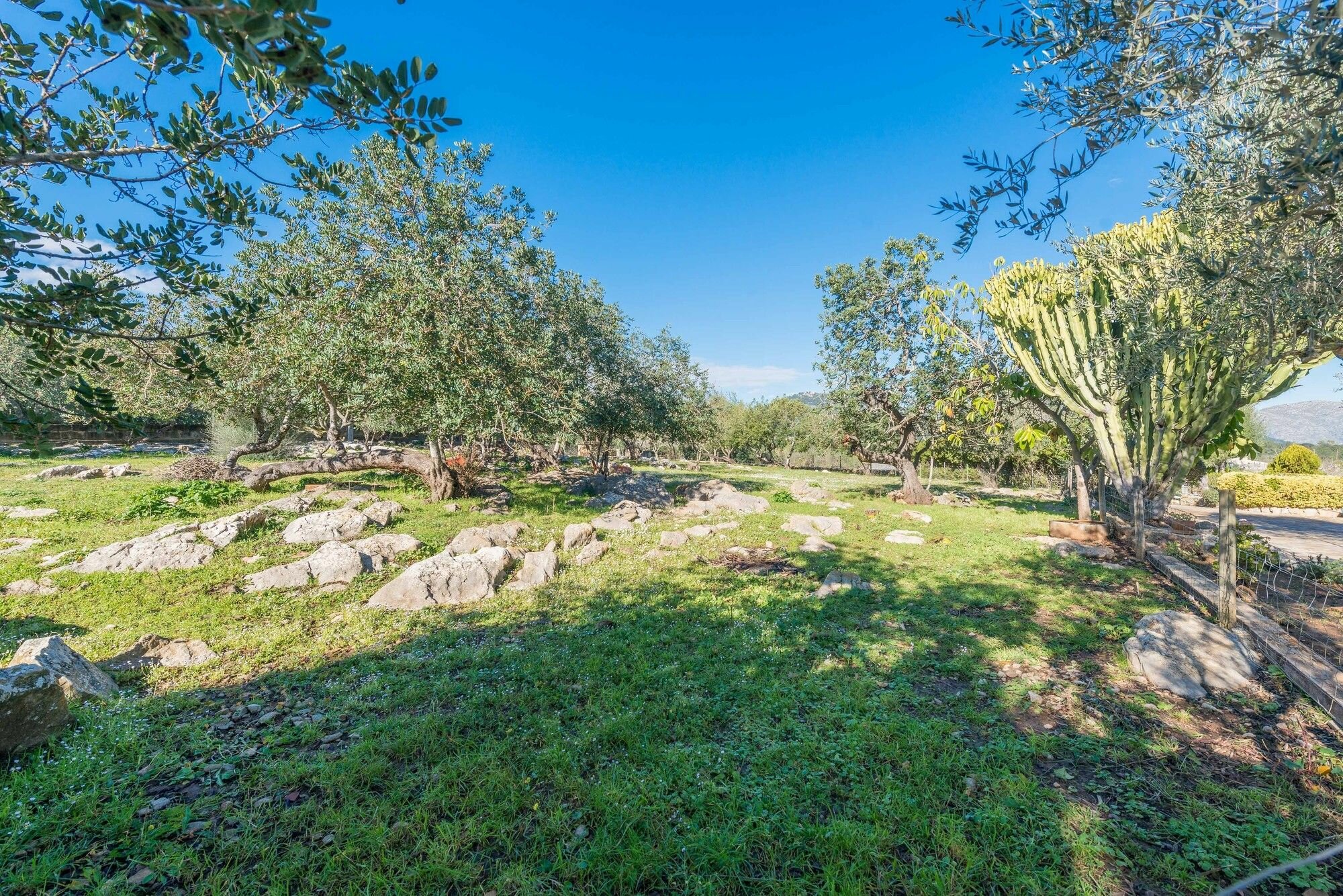 Фото Marina Can Borras