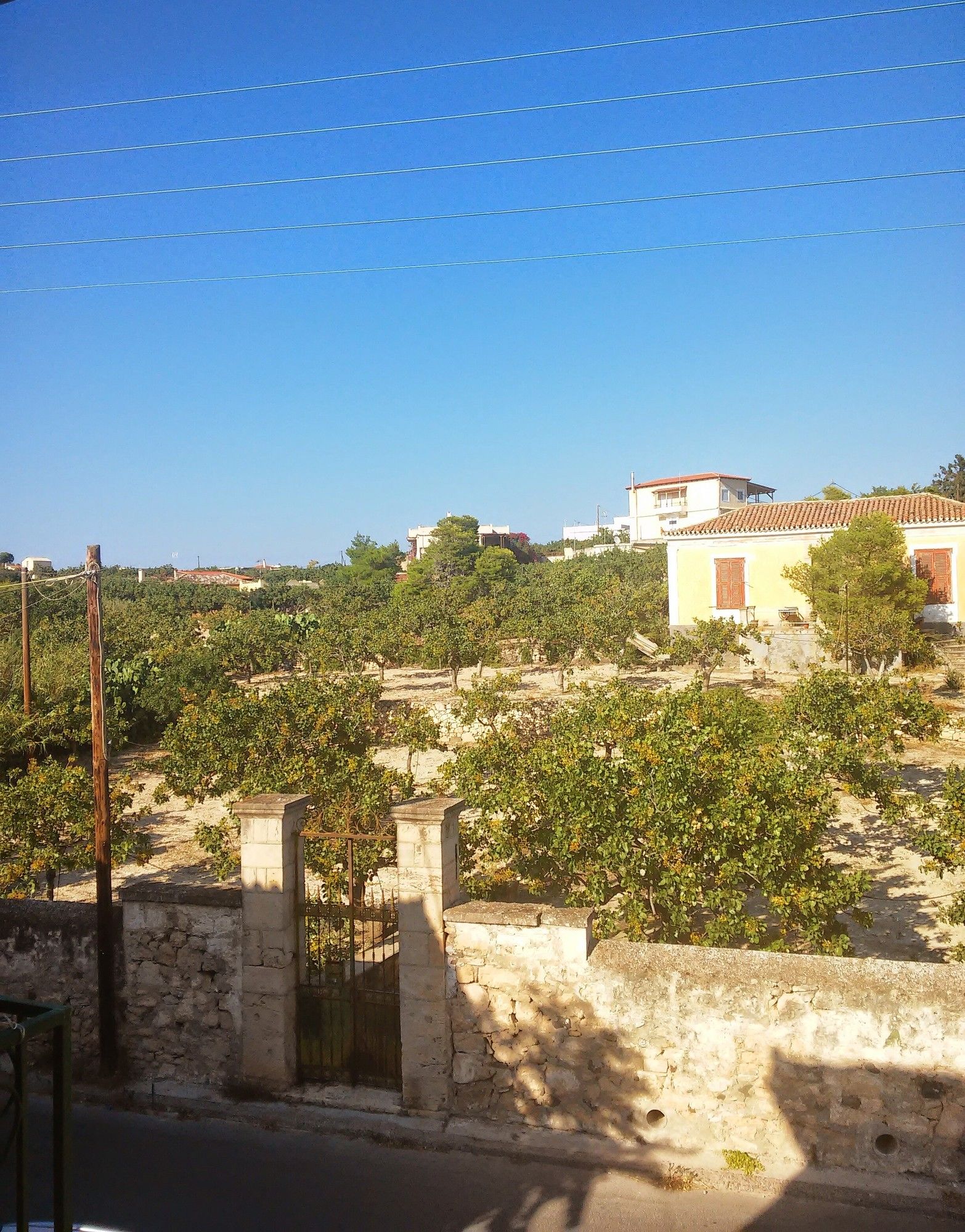 Фото Aegina Hotel