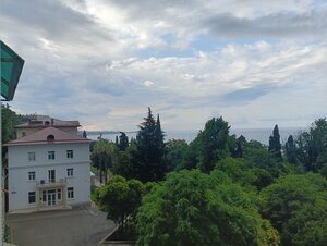 Золотая пальма