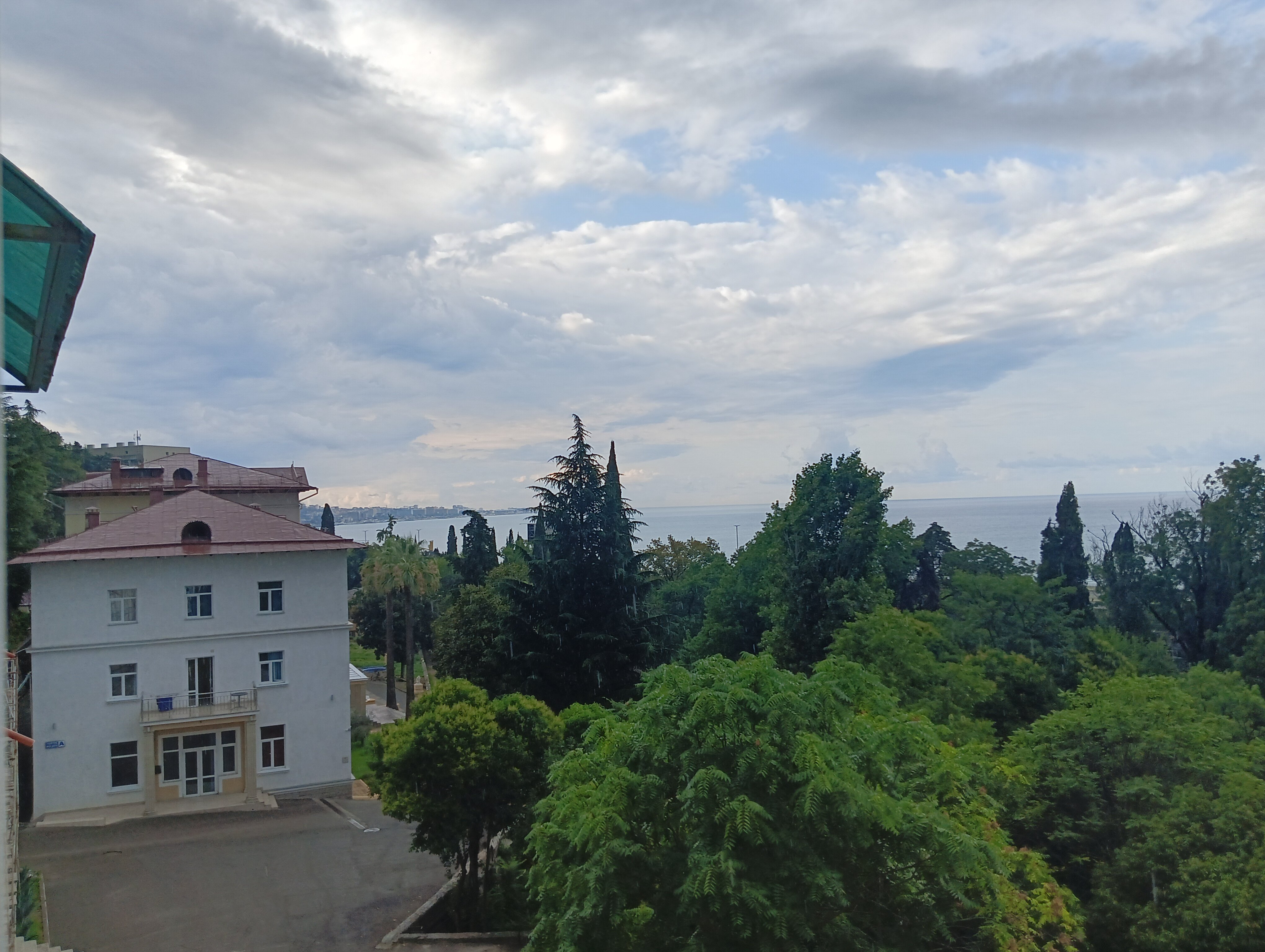 Фото Золотая пальма