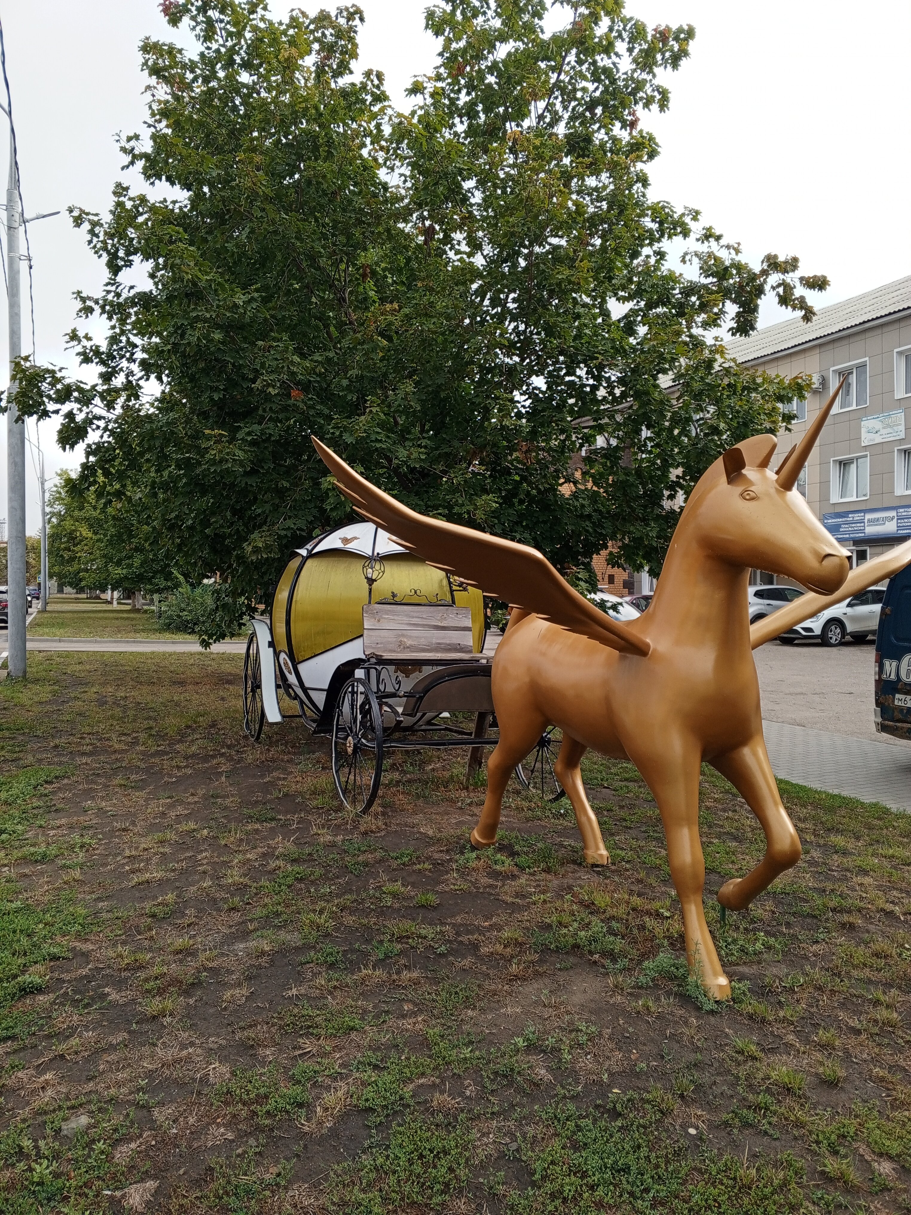 Фото Карета