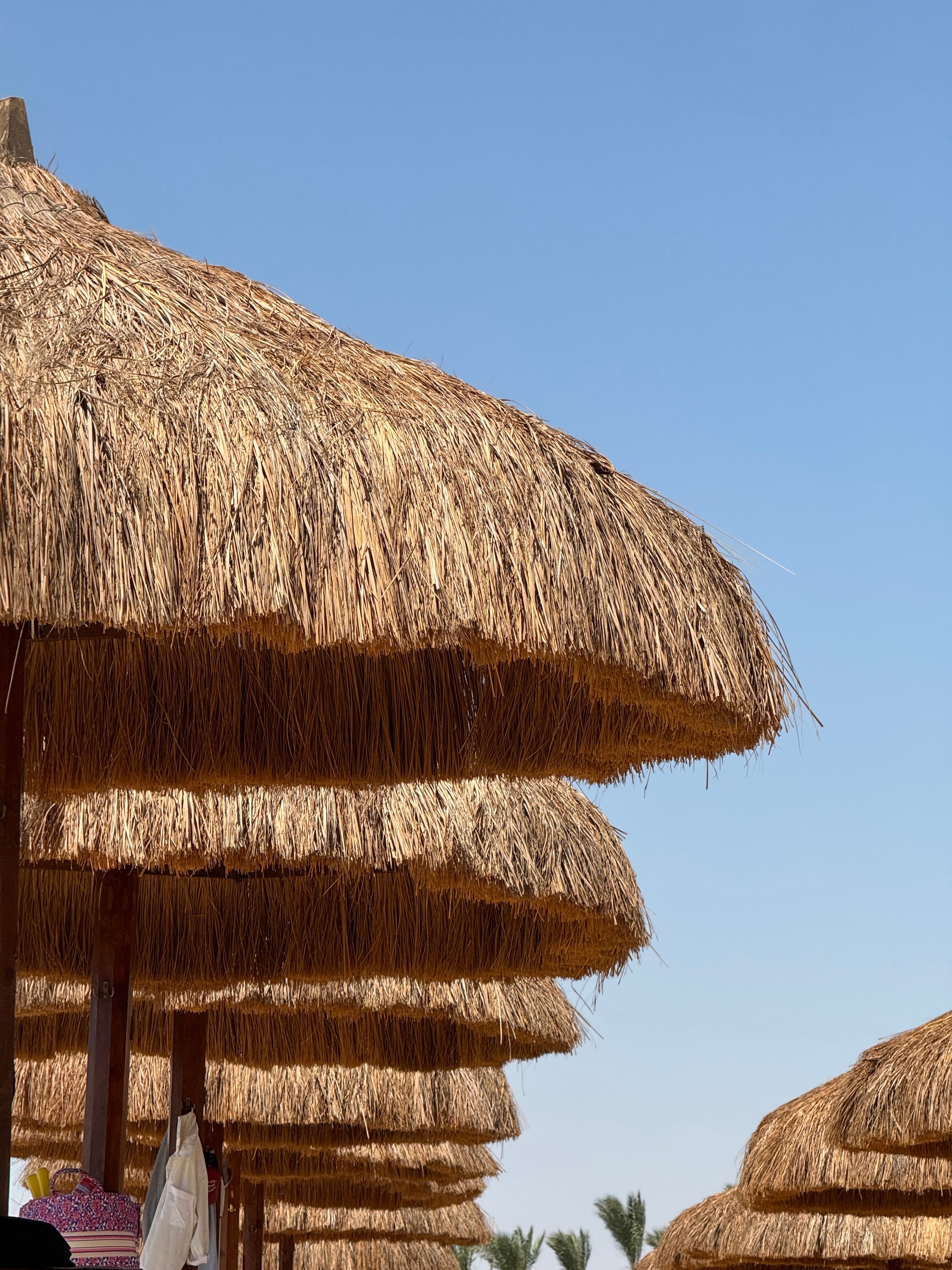 Фото Sunrise Tucana Resort