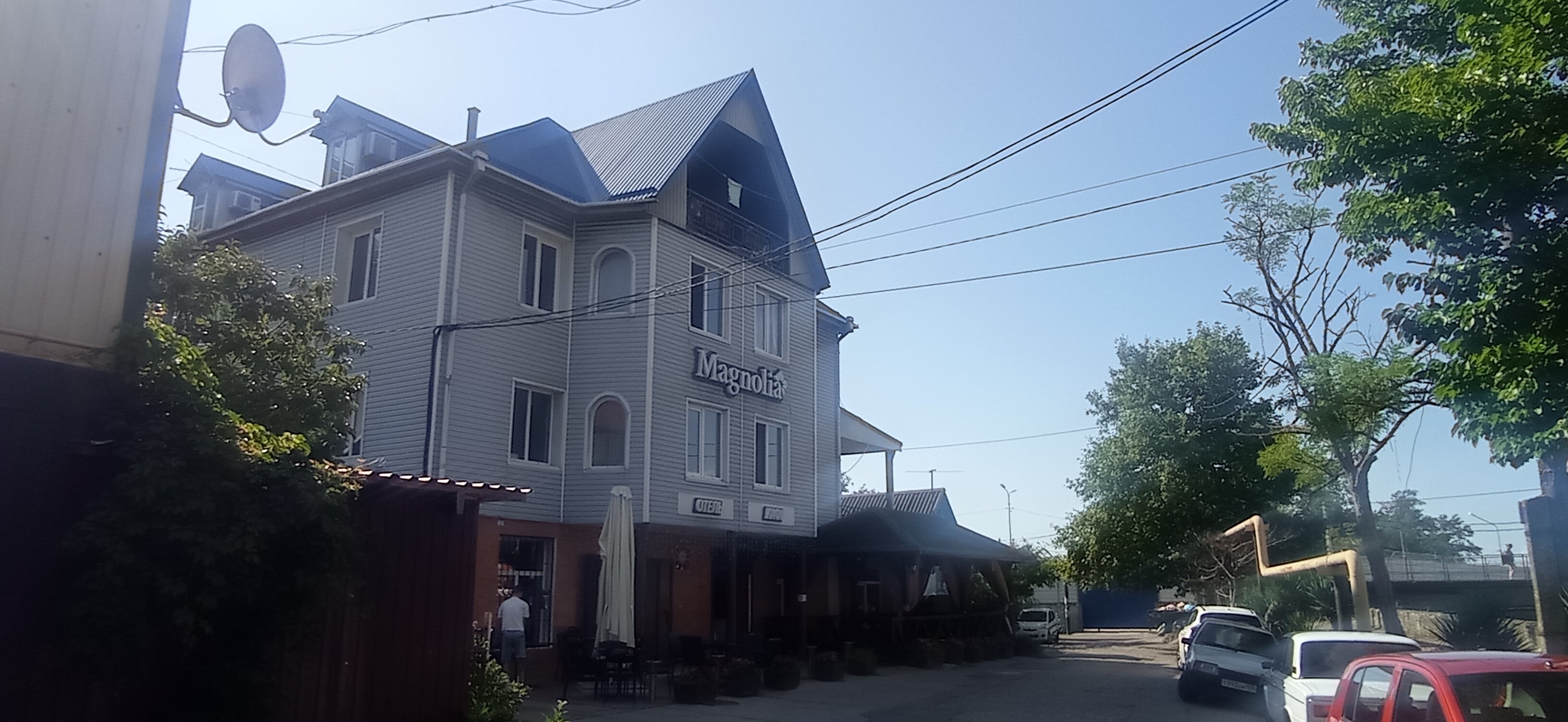 Фото Магнолия