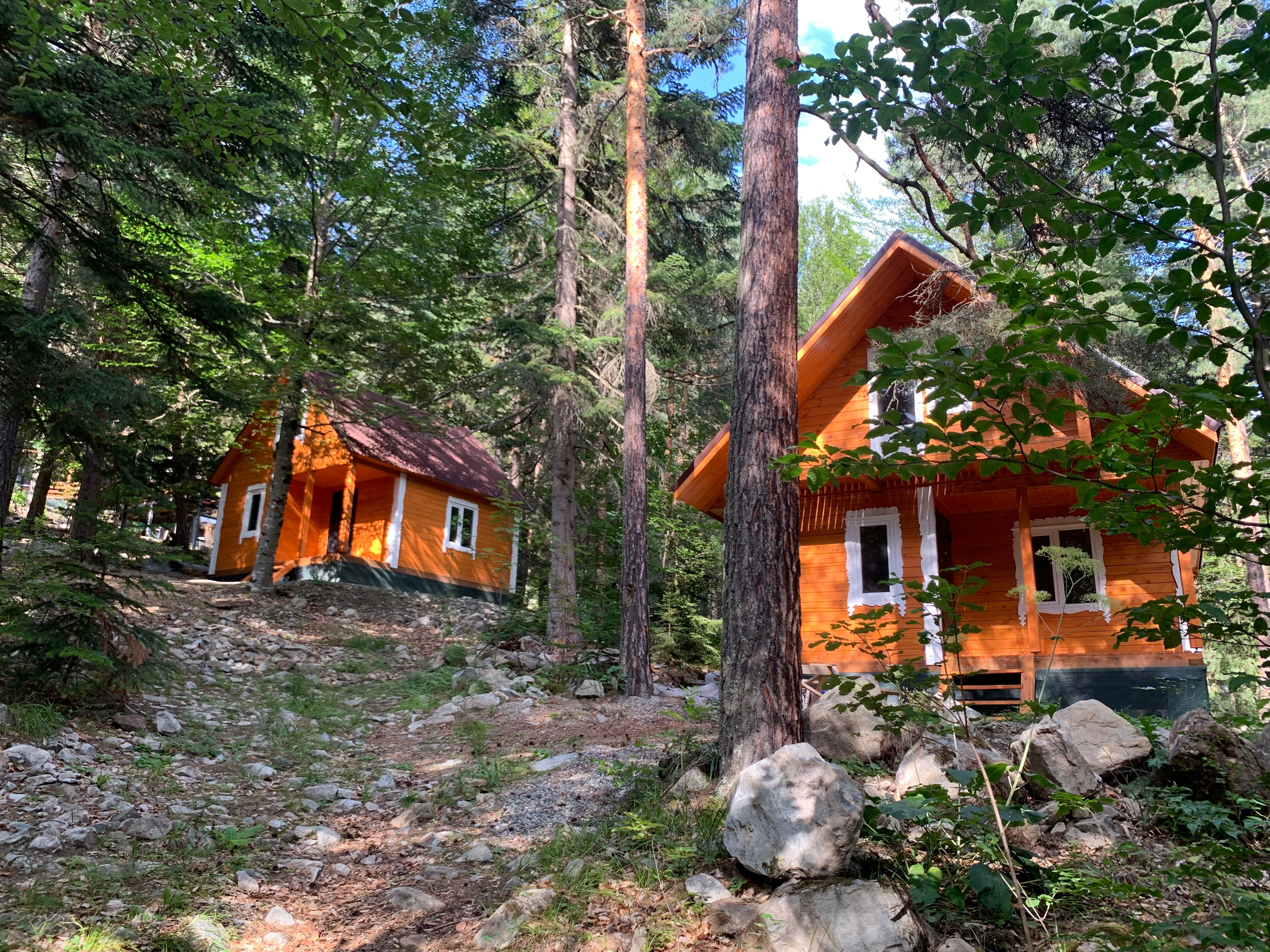 Фото Мухоморье