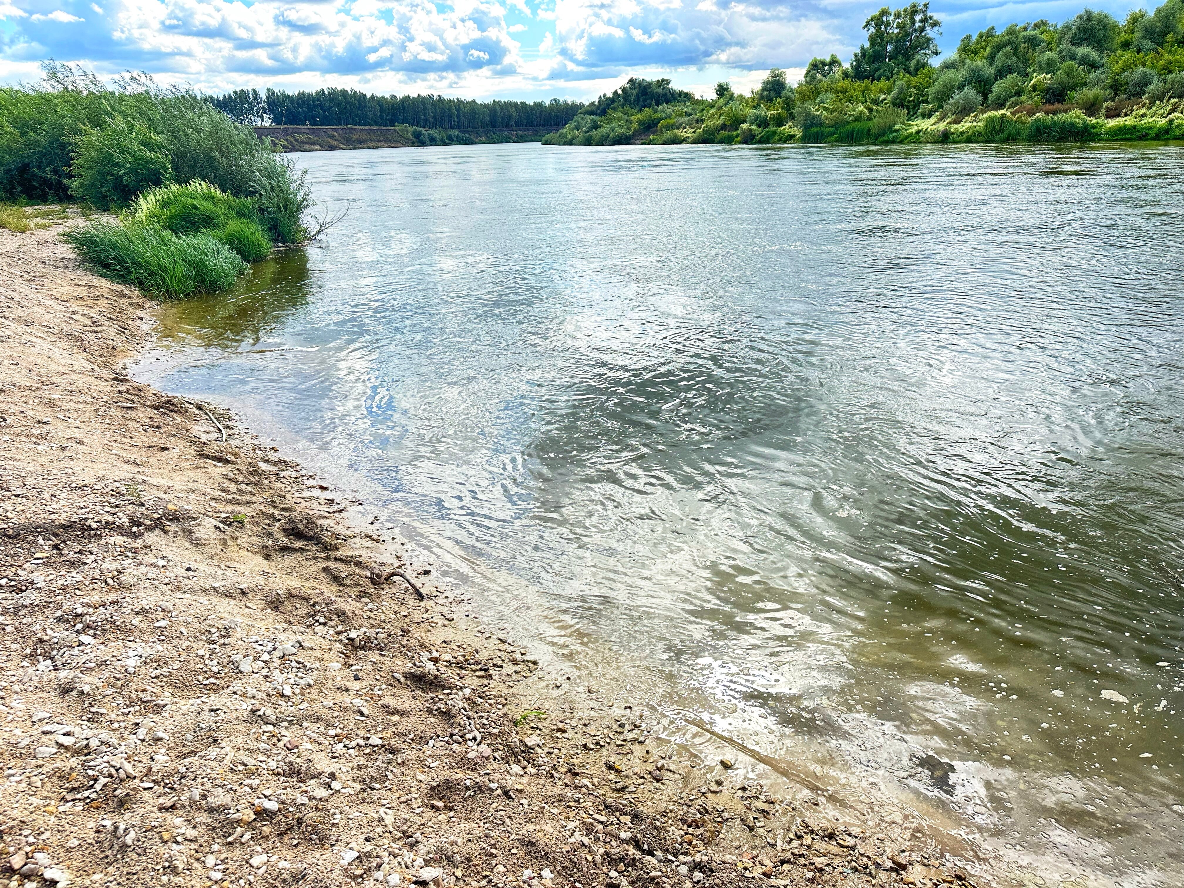 Фото ДонДом