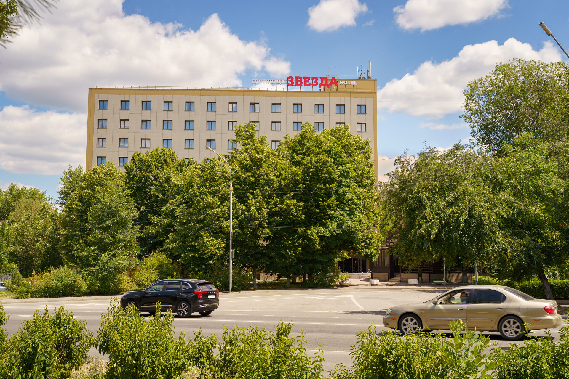 Фото Звезда