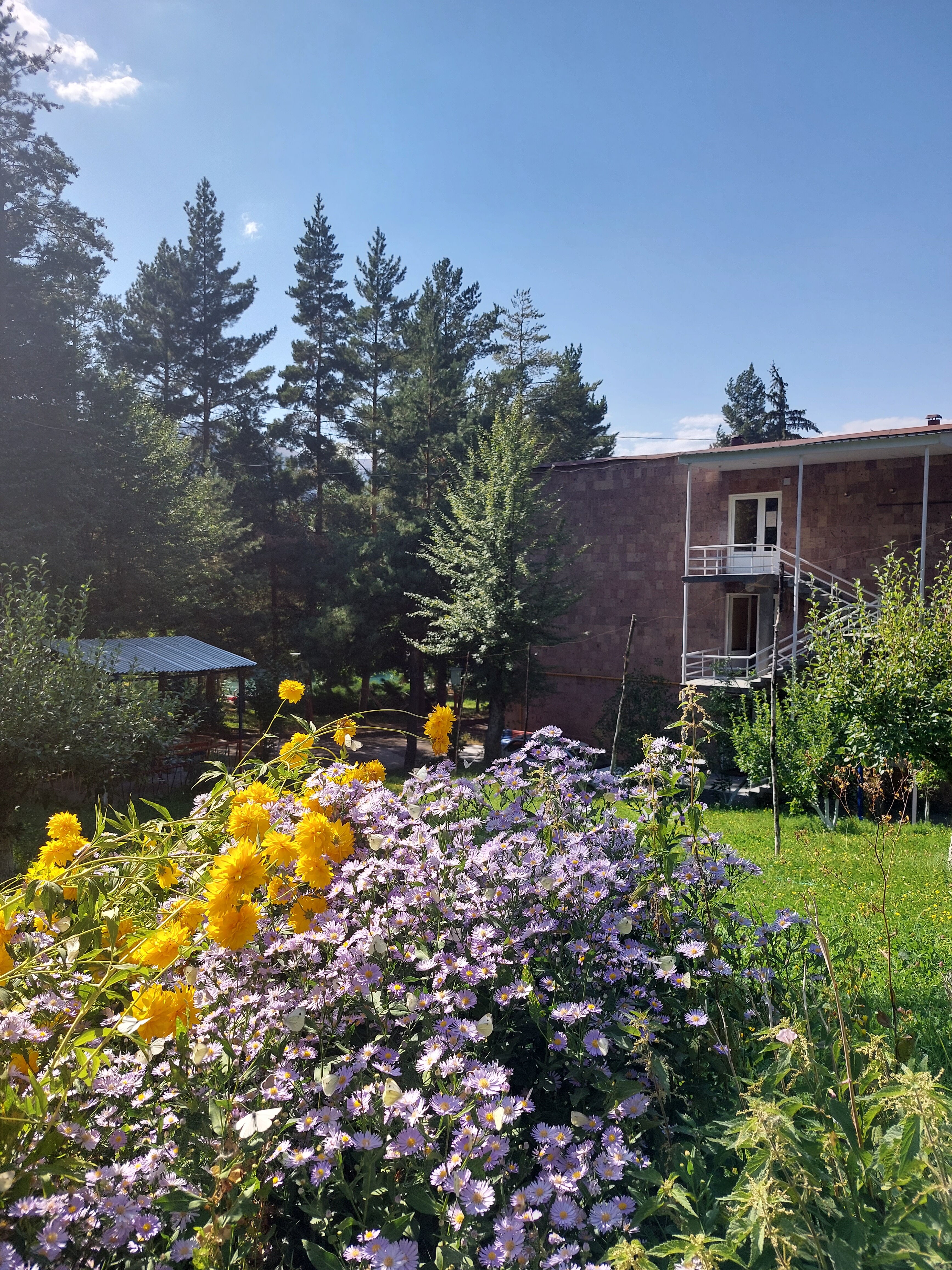 Фото Наири СПА Резортс