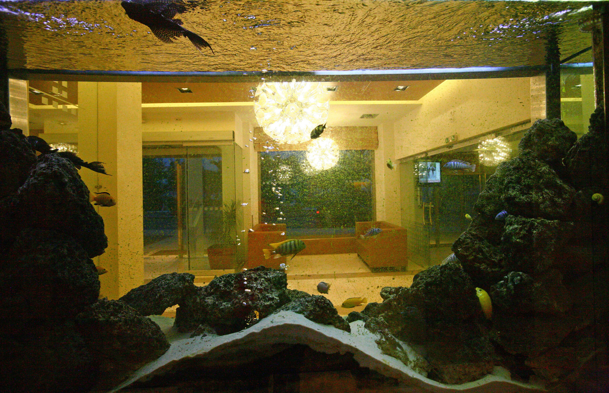 Фото Hotel Flisvos